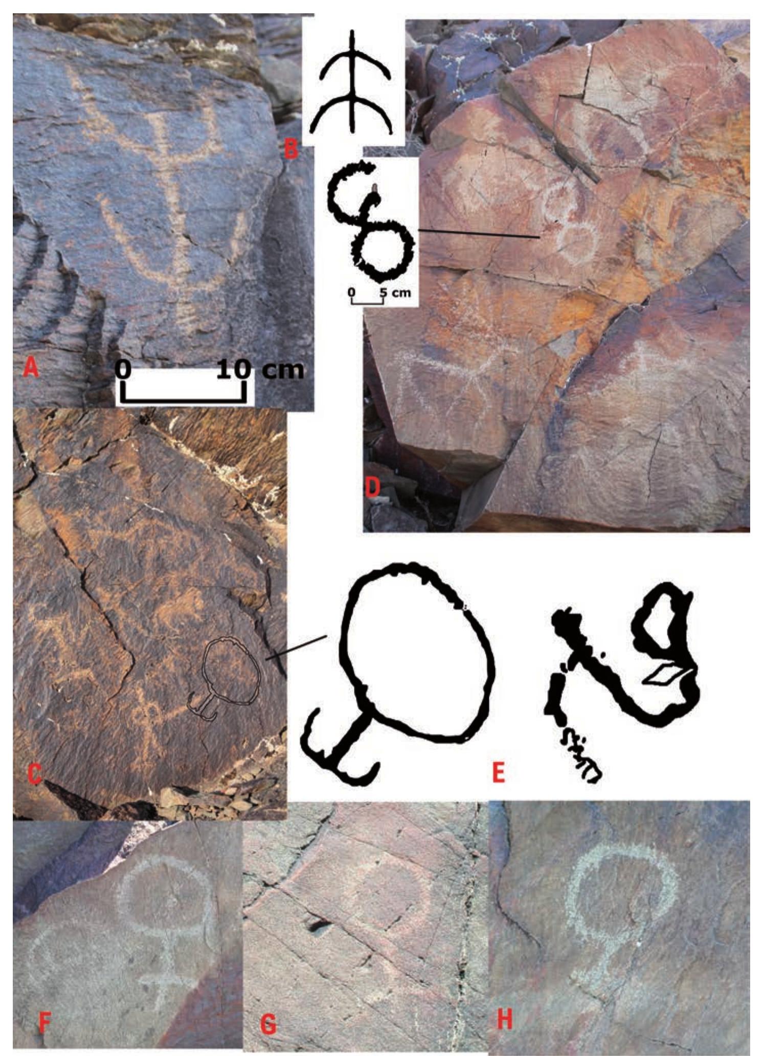 Fig. 6. Akkainar: A— group 3, rock 82; B— sign on a ceramic, Kultobe in Turkestan, after — Smagulov, Yatsenko 2019: 164; C— group 7, rock 196; D — group 7, rock 16; E — group 7, rock 192; F — group 8, rock 19; G— group 8, rock 20; H— group 8, rock 21 