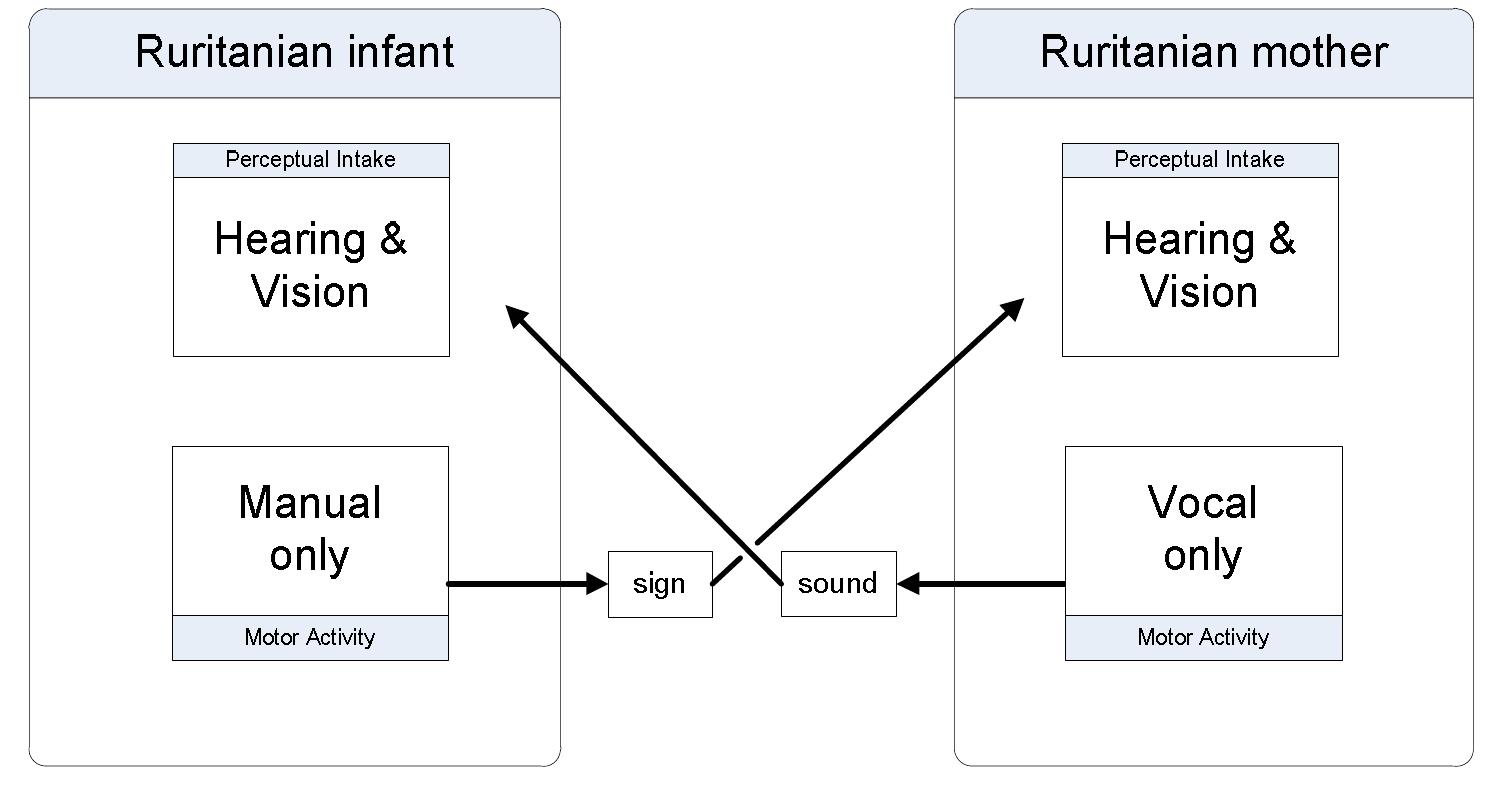 Figure 10 - from The role of imitation in learning to