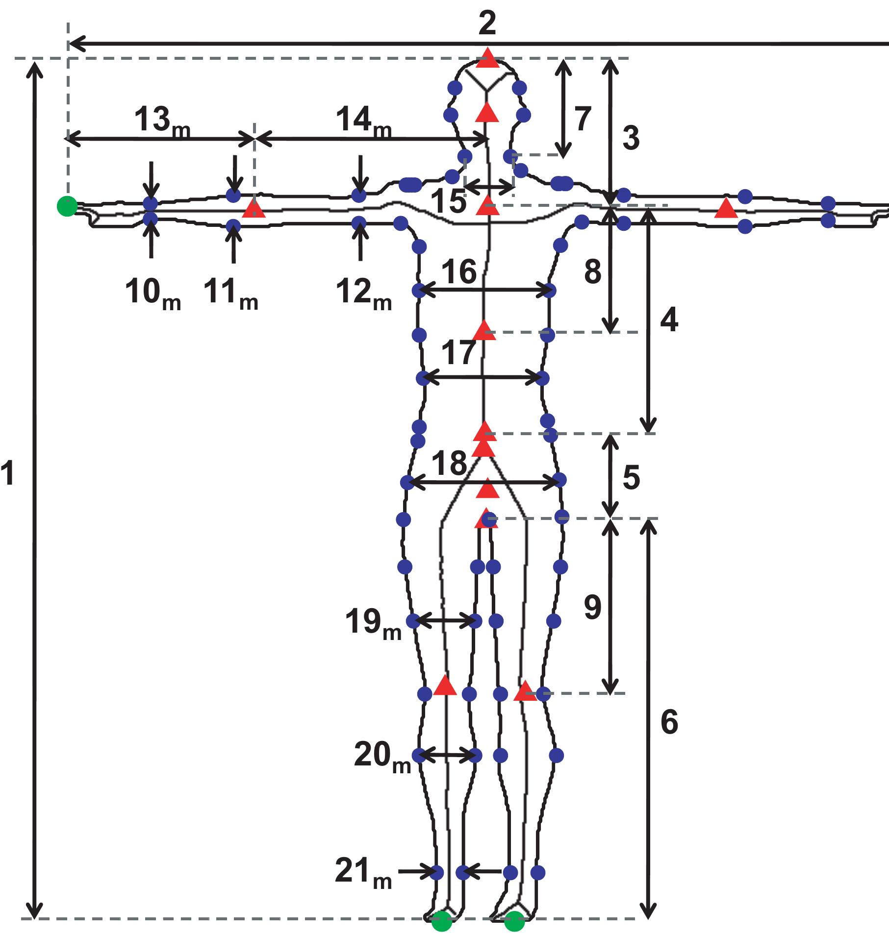 6: body boundary, landmarks and distances extracted among