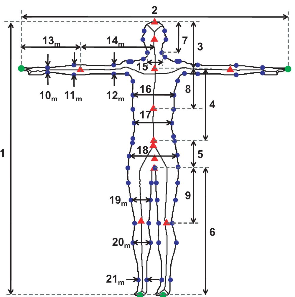Body boundary, landmarks and distances extracted among them