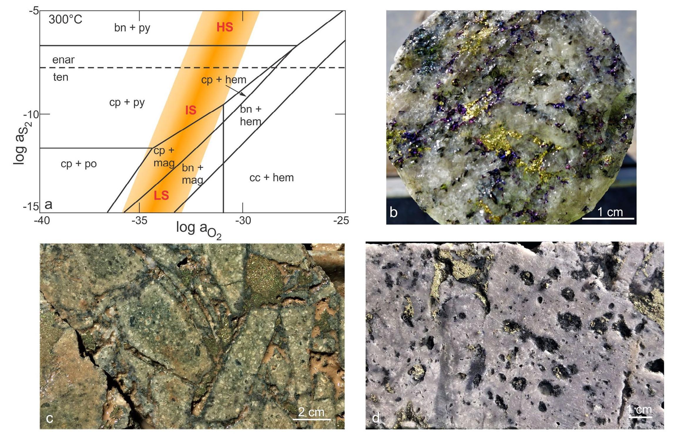 Hypogene (PDF) Exploration Guides for High-Grade Hypogene Porphyry Copper Deposits