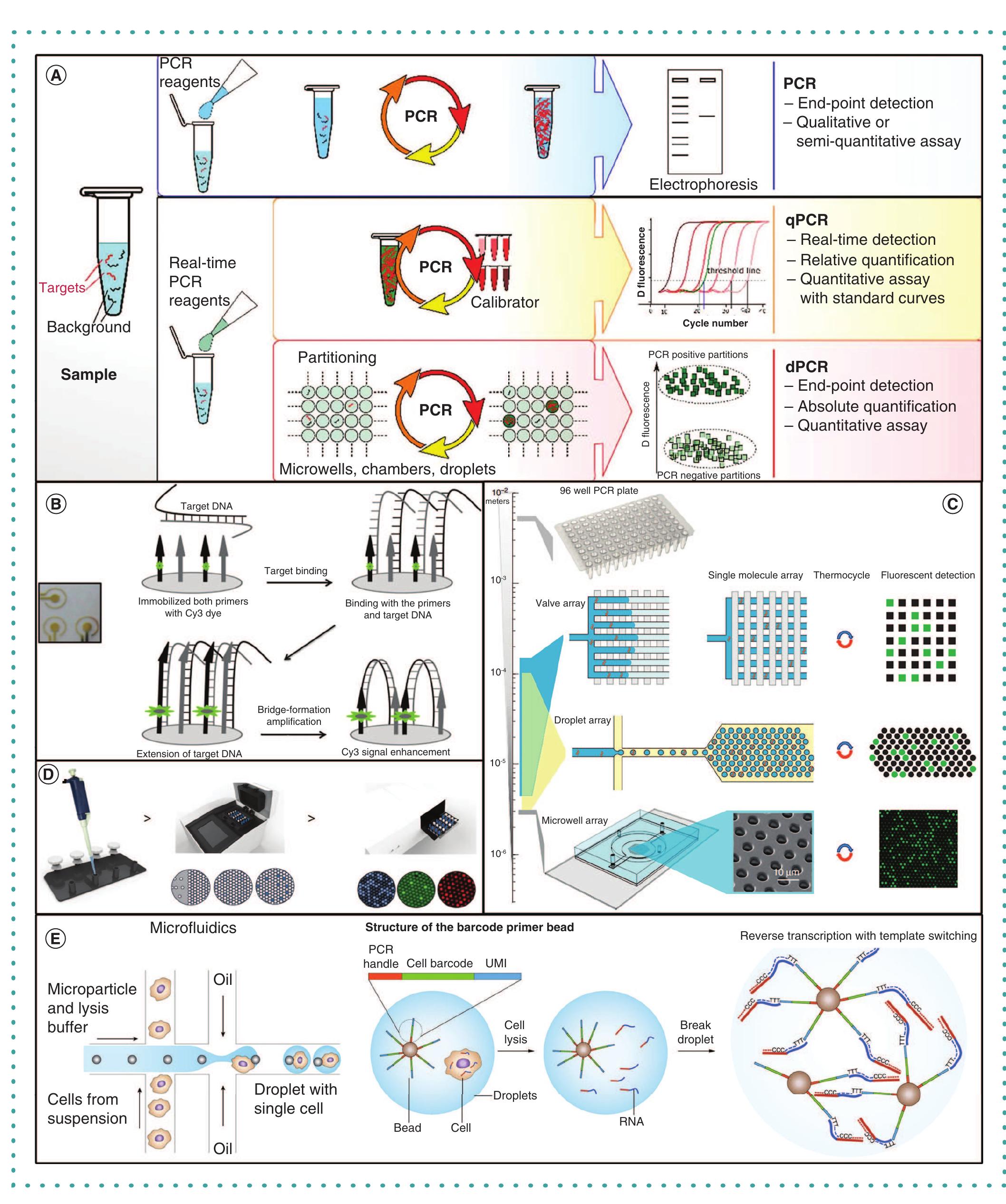 (PDF) PCR past, present and future