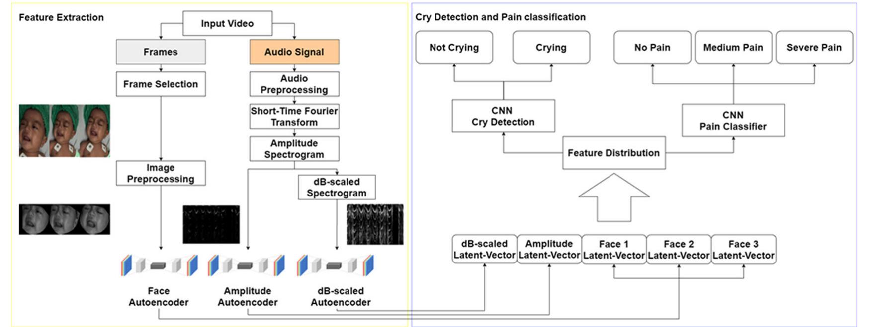 Architecture system. the face region will be extracted from