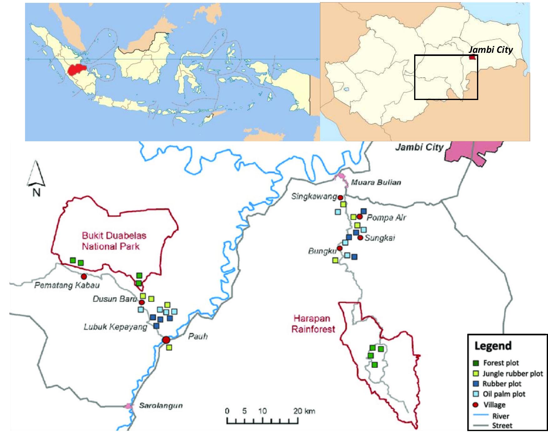 Figure 1 - from Diversity of butterflies (Lepidoptera)