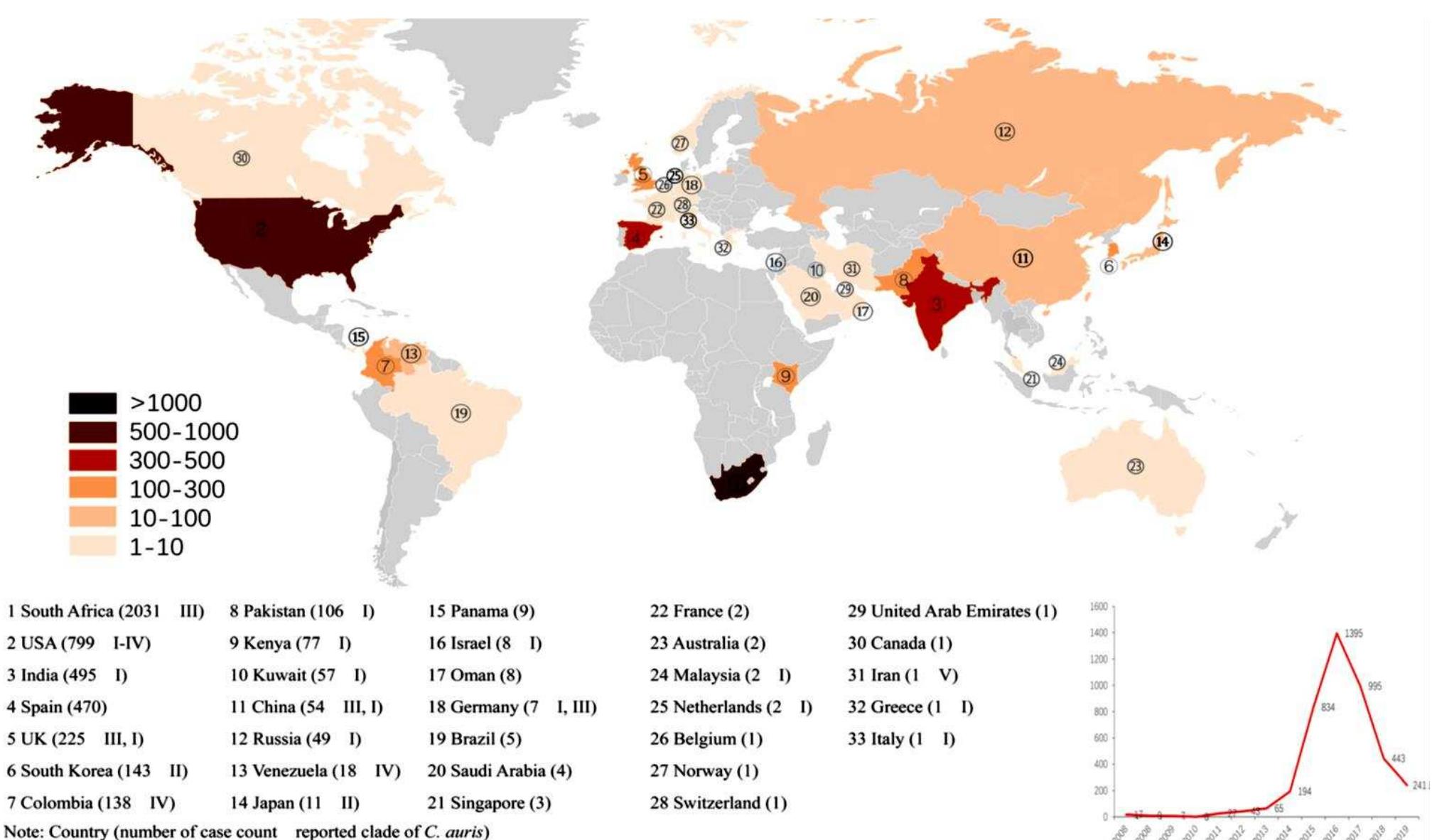 (PDF) An overview of Candida auris in Iraq: the silent killer