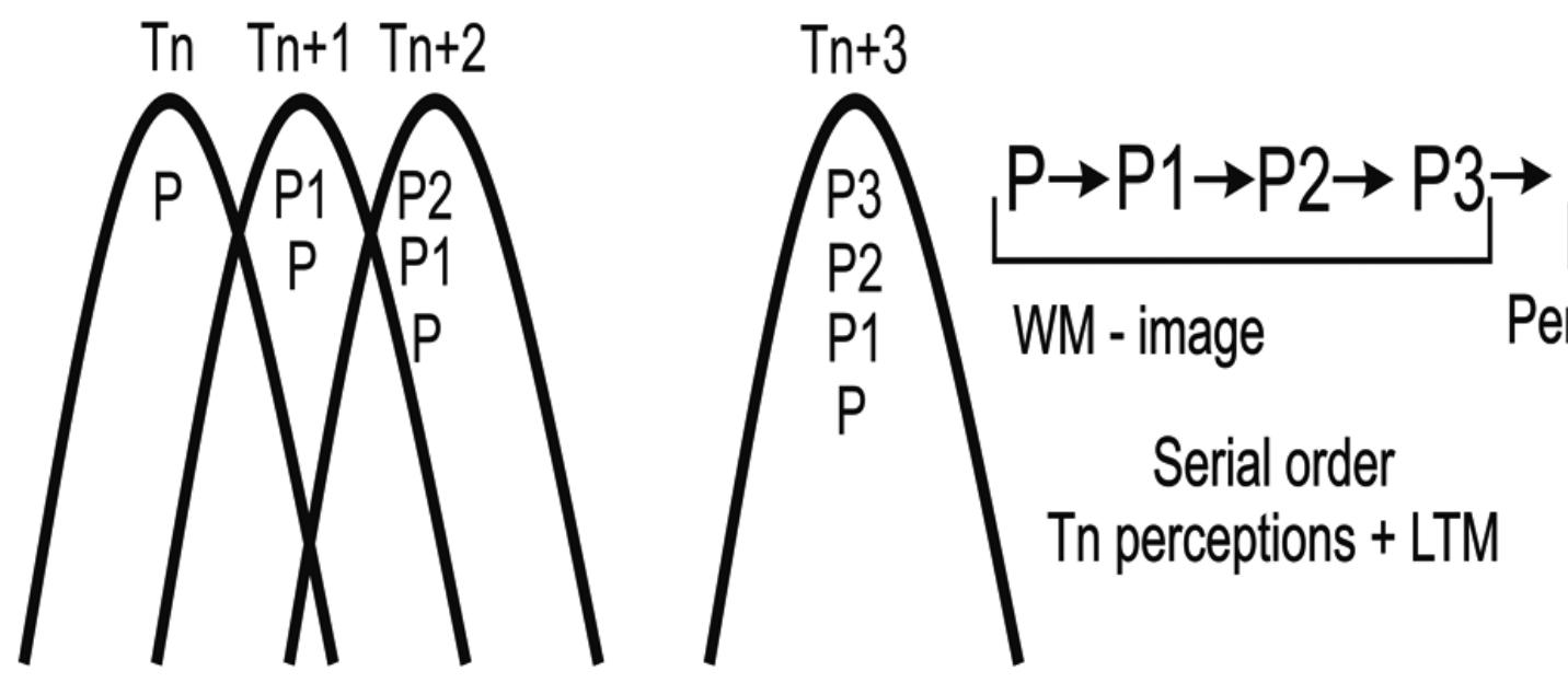 Fig. 2. From inner to outer: the microgenetic approach Source: Pachalska, MacQueen, Brown (2012) 