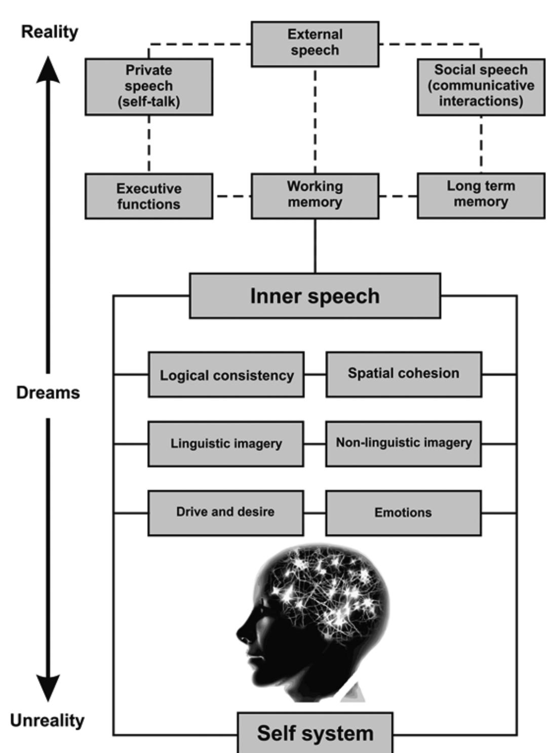 Siedler et al. Inner speech in Social (Pragmatic) Communication Disorder  of will) both trival and important matters. A process of passing from a given drive 0 recording the text in the working memory takes little time due to the effective executive functions and is as a rule finished with outer speech. It usually ends one of many acts of inner speech. However, in the case of really significant mat- ers, or while making important and/or difficult choices between goals that are contradictory, the internal monologue may take a stormy form, full of contradic- ions, recurrences, and hesitations. It need not end with text creation that can be passed to the working memory or to the long term memory to become a com- ponent of the longitudinal self. It results in putting off decisions, difficulties in mak- ing a shift of action, defering etc.  An individual with a healty brain (without cognitive disorders — including speech — and without emotional impairments). and with efficient articulatory aoparatus  