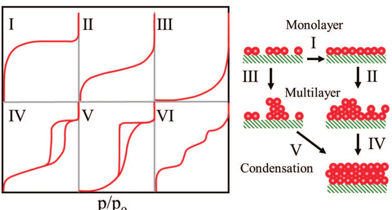 Types of adsorption isotherms based on the international