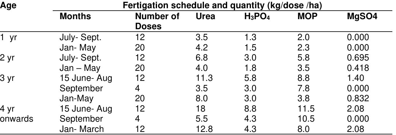 (PDF) Intensive Cultivation of Mango Using Ultra-High Density Planting ...