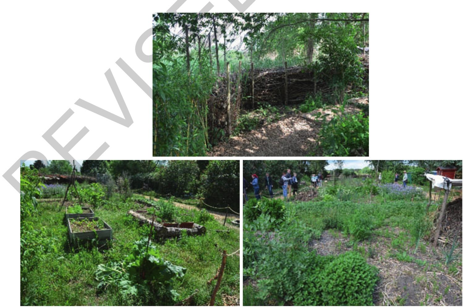 Figure 18.4 Permaculture garden at the Regional Garden Exhibition in Beelitz, Federal State Brandenburg in Germany in 2022. Photo credit: Petra Schneider.  © a Rr a? = =«._—_— rr  Andernach. The used spaces have been former urban brownfields.  A special form of agroecology is permaculture which particularly complies with the agro- ecological principles (Ferguson and Lovell 2014). Also, this activity can be practiced at urban brownfields. Permaculture offers people a holistic and low-threshold approach to ensuring food security and well-being (Aranya 2021). In its original form, the conceptof permaculture arose with the aim of modeling agriculture on natural ecosystems (Mollison and Holmgren 1990). However, the application of permaculture also goes hand in hand with shaping individual living and working conditions and changing personal behavioral patterns, which, according to Dahlgren and Whitehead, represent different determinants of health (Dahlgren and Whitehead 1993; Hurrelmann et al..2018). According to Ferguson and Lovell (2014), permaculture is the harmonious integration of landscape and people who provide their food, energy, shelter and other material and non-material needs in a sustainable way.  hee: AO OA ete One: Bee Bee Oe I me er I a  