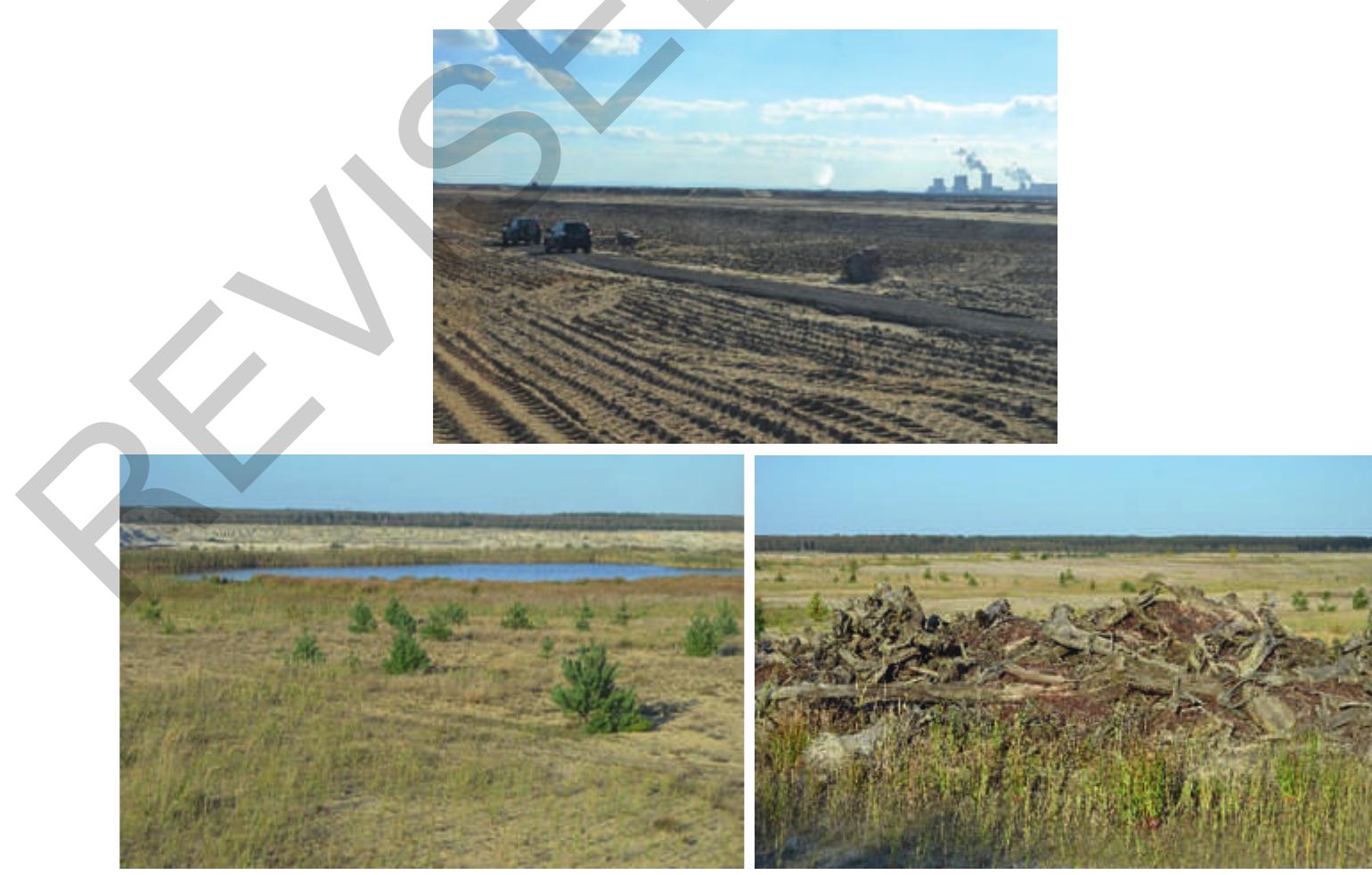 Since the soil substrates in East Germany usually have good pH values, soil amelioration with lime is only rarely necessary. On the other hand, the tendency to defective soil com- paction is increased. Crucial to the success of agricultural recultivation is soil application by the large opencast mining machine (spreader) from a low fall height, as few passes as possible for leveling and area preparation and several years of soil-conserving cultivation in the recultivation phase (LMBV 2020a). A storage density of between 1.5 and 1.6 g/cm? and a coarse pore volume of at least 8% are aimed for. Location, size, area shape, and relief are other relevant aspects for the agricultural use of the dump sites. A slightly wavy surface with a gradient of at least 0.5 to a maximum of 7% ensures the drainage of surface water into the receiving water without the risk of erosion and meets the requirements for machine processing of the dump surfaces. Between the 20 and 30ha fields, strips of wood are inte- grated to reduce wind erosion, evaporation and to develop productivity and a biotope net- work with the surrounding opencast mining areas (LMBV 2020a).  Figure 18.5 Impressions from the LMBV mining land reclamation, East Germany. Photo credit: Petra Schneider. 