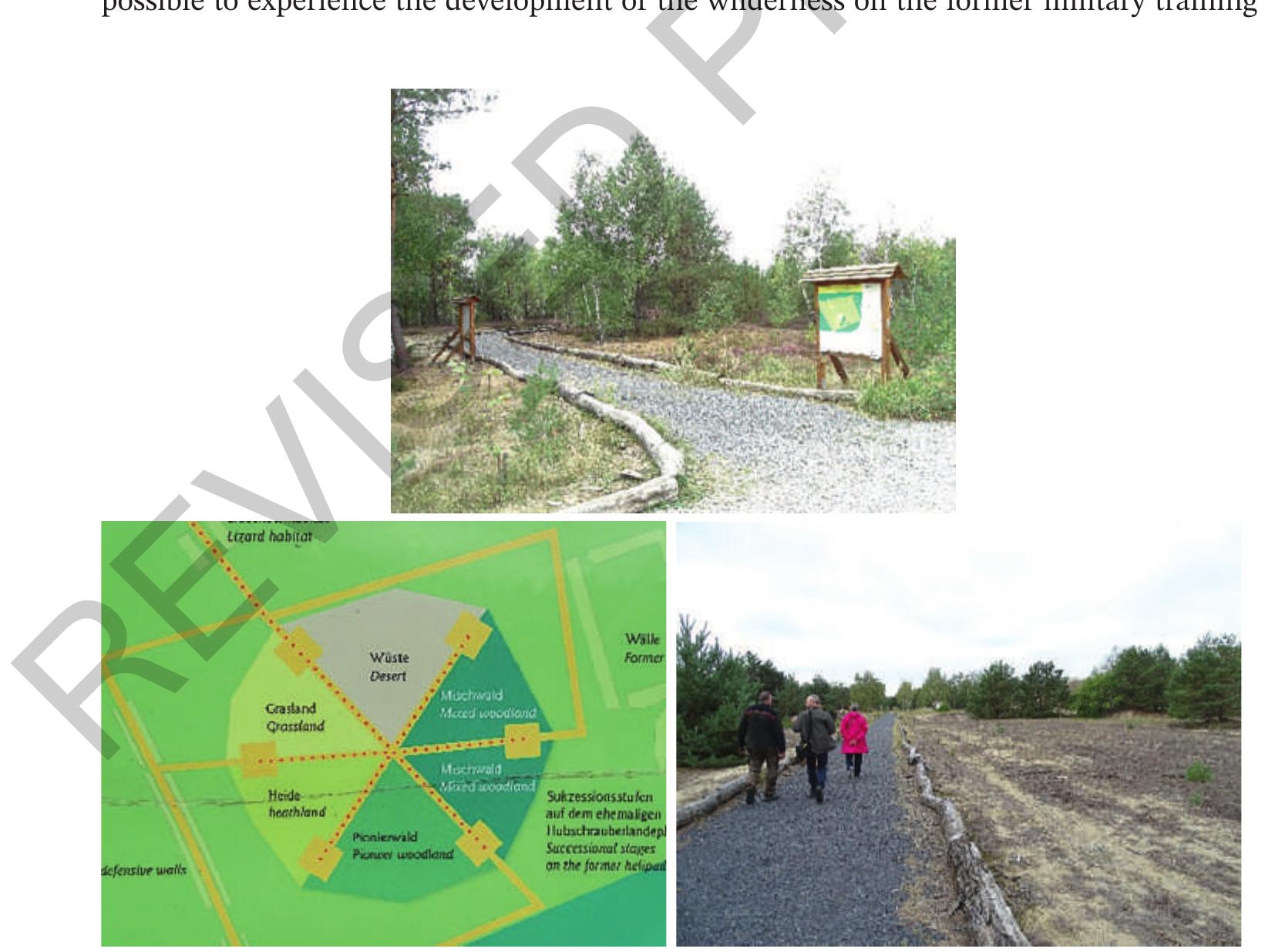 Figure 18.7 Lieberose Succession Park, former military site, now administrated by the Brandenburg Natural Landscape Foundation. Photo credit: Petra Schneider. 