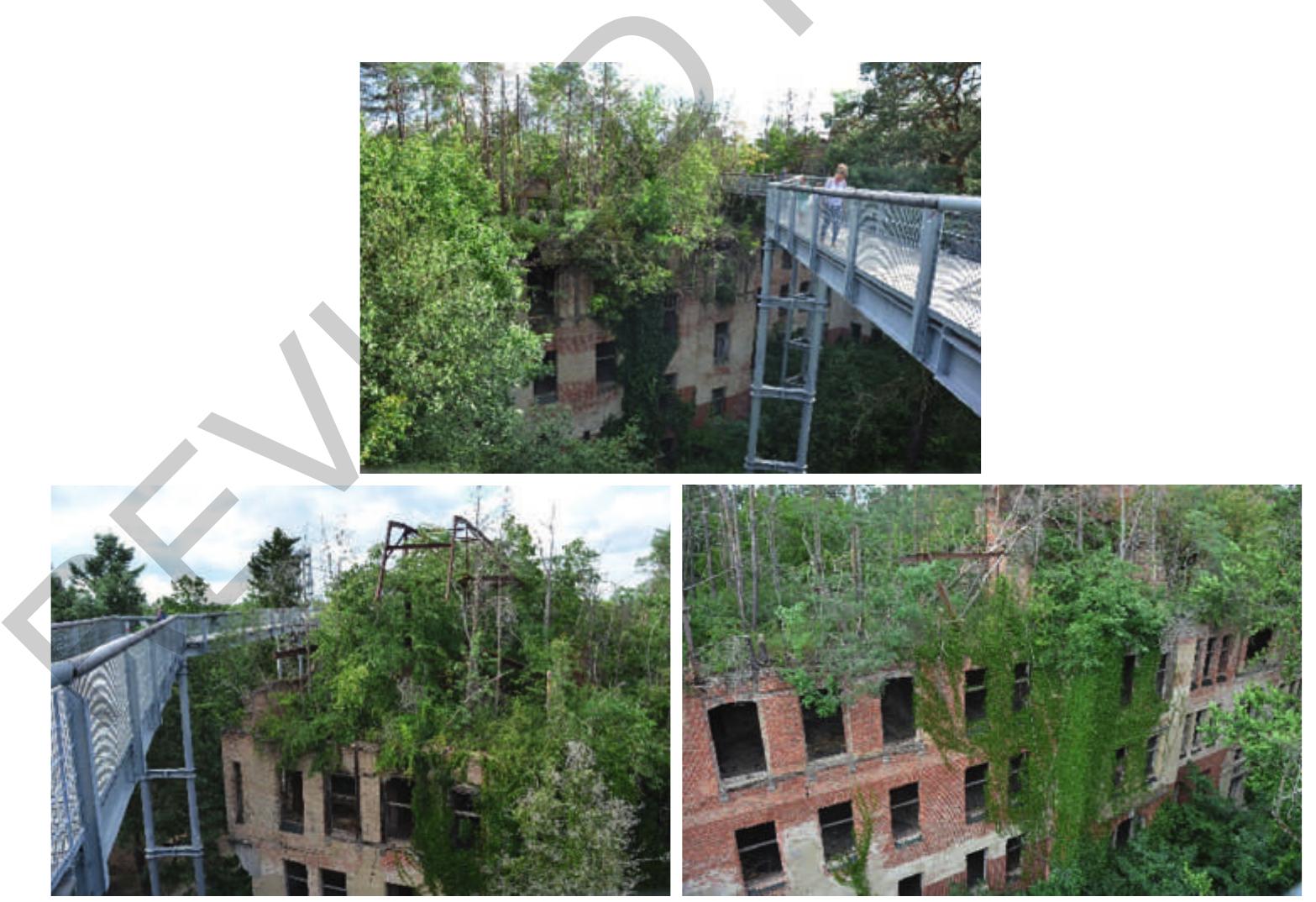 A particular case is illustrated in Figure 18.8, the re-use of the lost place Beelitz- Heilstatten, Federal State of Brandenburg, Germany. The workers’ pulmonary sanatorium Beelitz-Heilstatten, built between 1898 and 1930 by the Berlin State Insurance Institution, is one of the largest hospital complexes in the Berlin area. It is a listed ensemble of 60 build- ings on a total area of around 200ha. During the first and second World Wars, the Beelitz sanatorium served as a military hospital and sanatorium for 17,500 sick and wounded sol- diers. After the end of the World War II, in which the sanatoriums were severely damaged in some cases, the site was taken over by the Red Army in 1945. The sanatorium served as the Soviet/Russian Army’s largest military hospital abroad until 1994. After years of stand- still and further decay, the creditor banks managed to find a buyerfor the area in March 2008, but only after repeated sales to private initiators did the gradual securing, renovation, and new use of a large part of the building begin in 2015. In 2015, the first treetop path in Brandenburg was opened on the site of the former women’s lung sanatorium. It is 320m long, up to 23m high and crosses the tree-covered ruins of the so-called “Alpine House,” which burned down in 1945. The place is a particular teaching site how natural succession  on abandoned places takes place, as can be seen particularly through the natural roof top forest that established itself in the last 30 years.  Figure 18.8 Re-use of a Lost Place: Beelitz-Heilstatten, Federal State of Brandenburg, Germany. A former lung clinics, abandoned more than 30 years ago was refurbished into a touristic site to learr about the development of lost places and natural succession. Photo credit: Petra Schneider. 