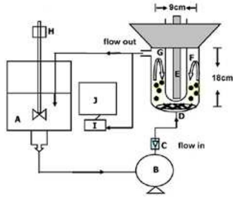 Schematic of fluidized bed reactor [137].