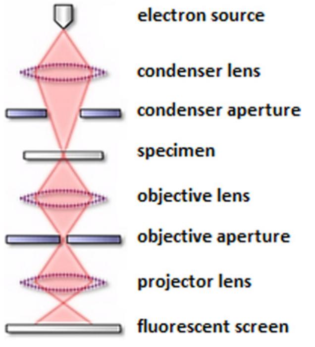 Schematic representation of transmission electron