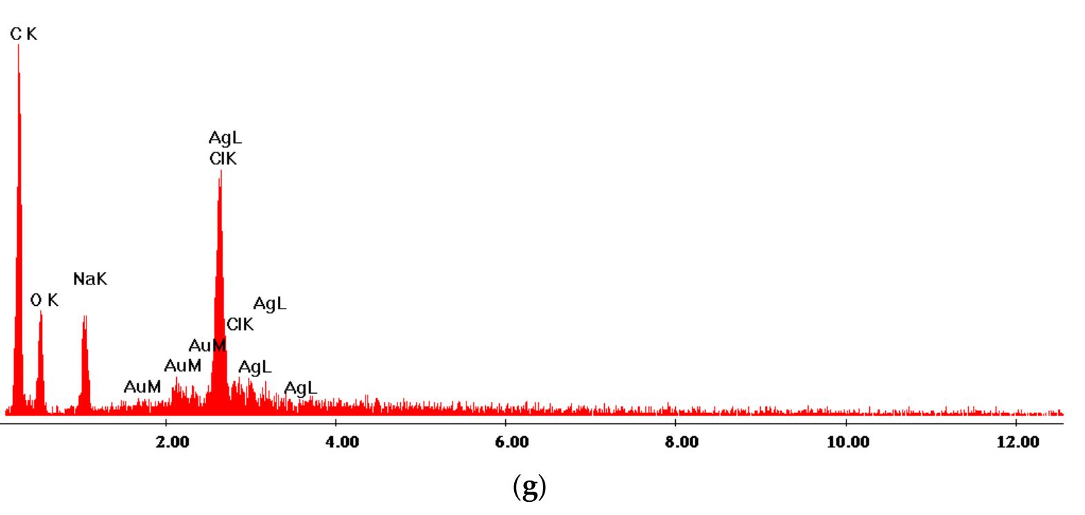 Figure 1. SEM (Scanning Electron Microscopy) micrographs showing the porous morphology and silver distribution from Coll CMC Ag 10 N (a-c) and Coll CMC Ag 10 G (d-f) samples, along with the elemental composition (energy dispersive spectrometer (EDS) spectrum) of Coll CMC Ag 10 N (g) wound dressing. 