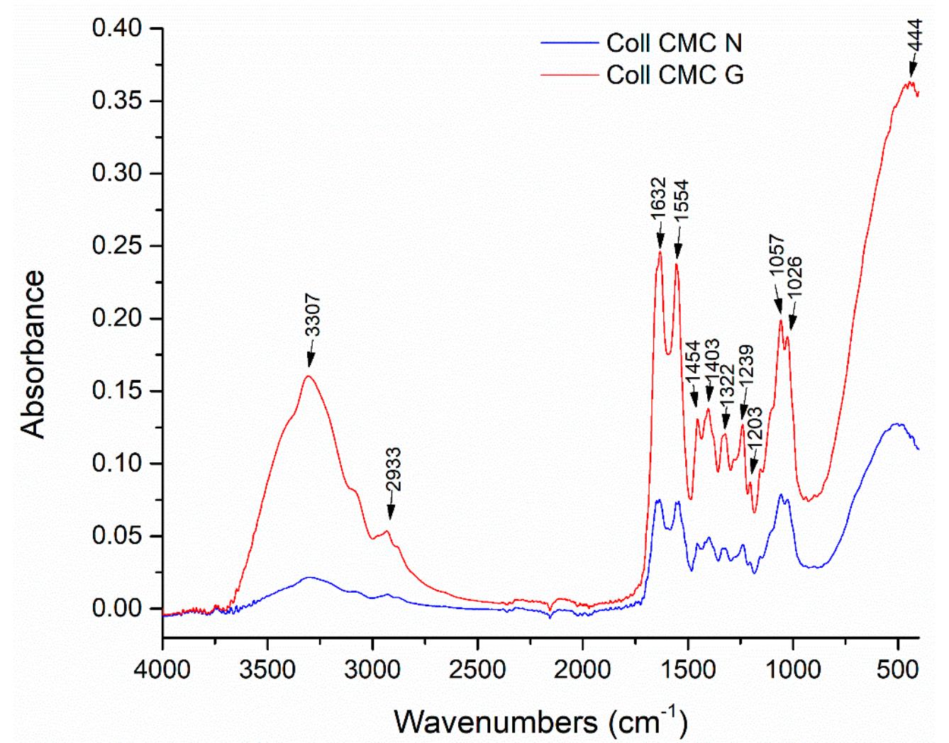 Figure 3. FT-IR spectra for the Coll CMC N and Coll CMC G porous composites.  slightly lower wavenumbers and with an accentuated decrease in absorbance, indicating that crosslinking was successful and significantly changed the molecular structure of the polymers, due to the glutaraldehyde —CHO groups reaction with the amino group of collagen [43,44]. 