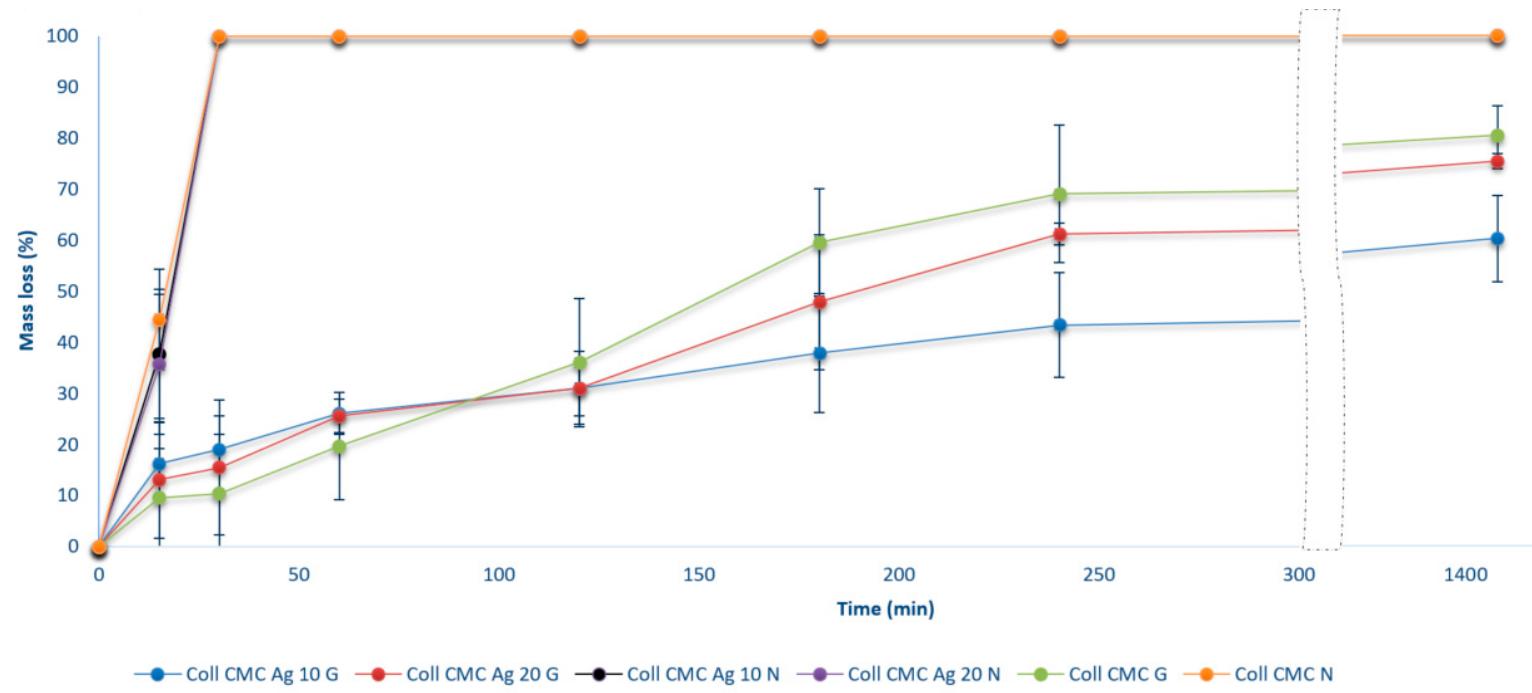 Figure 7. In vitro enzymatic degradation of wound dressing materials during 24 h (presented as mean + S.D. of 3 replicates)  Subsequently, the samples degradation in a solution of collagenase, a collagen-degrading enzyme, was evaluated. The mass loss for the biocomposite samples is presented in Figure 7. An increase in mass loss was observed over the 24 h for all the cross-linked samples, along with a rapid and total disintegration of the non-cross-linked ones in the first hour of immersion in collagenase. The mass loss rate is slightly increased in the first hour for the samples containing silver nanoparticles, which can be associated with an enhanced collagen structure disintegration. Nevertheless, after 24 h, the mass loss varied between ~60-100%, and it was smaller for the cross-linked, less porous samples, in accordance with previous swelling and porosity results.  
