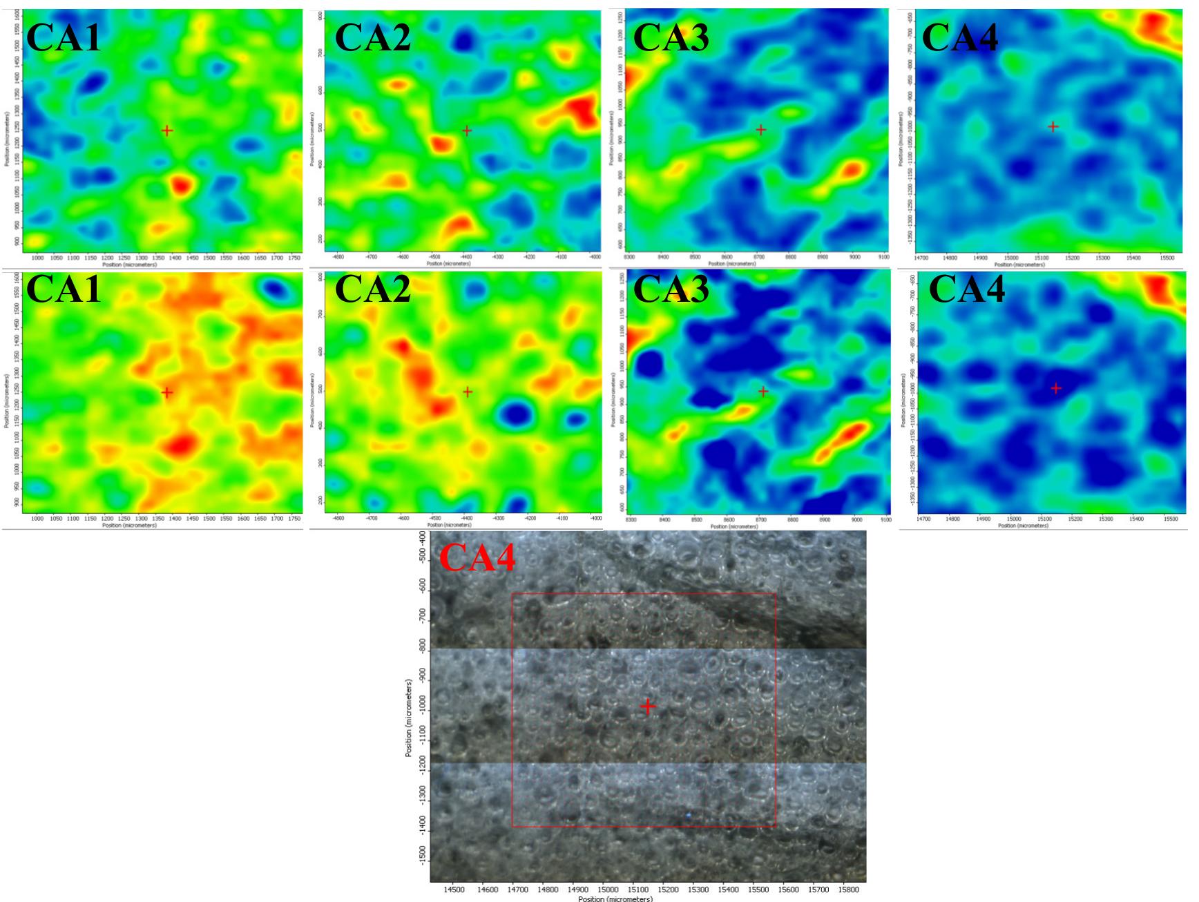 Figure 2. The FTIR maps for CA1-CA4 films at wavenumbers 3500 cm7! (top row) and 1740 cm7! (intermediate row); the last row represents the FTIR video image highlighting the morphology of the sample CA4 (in fact, all these membranes have the same aspect). 