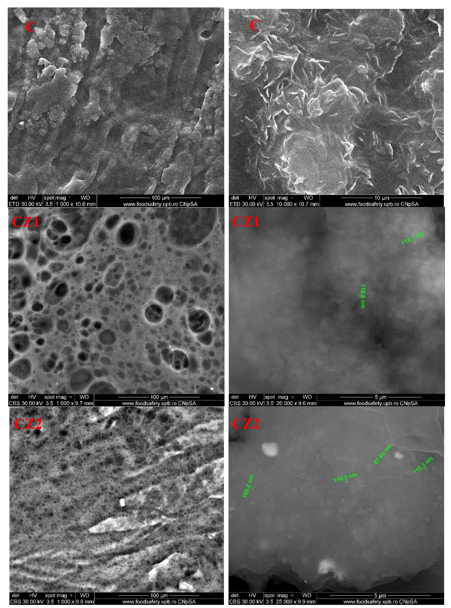 Figure 11. Cont.  nO can be glued by the chitosan polymeric chains and generate a porous structure, even if tl ure chitosan film has a pore-free structure. The pore size decreases sharply for the CZ2 sample to  iameter sma  ler than 5 um, bu  t also with a highly homogeneous distribution. Some random por  in also be observed for CZ3 or CZ4 films, but in these cases, cracks are also visible, especially for CZ  his porous s  tructure can be ex  pected to present higher water vapor and gases permeability, but  ict, the permeability decreases until CZ2 and after this, it starts to increase. This can be explained |  .e fact that t  .e density o  he pores are not connected and it does not cross the membrane, therefore in this ca:  f the membrane s  ightly increases. The higher values are obtained for CZ3 and CZ  here the cracks permit a better penetration of the film structure. The higher magnification SE nages (20 k) reveals a homogeneous distribution of ZnO nanoparticles in the chitosan film structu 