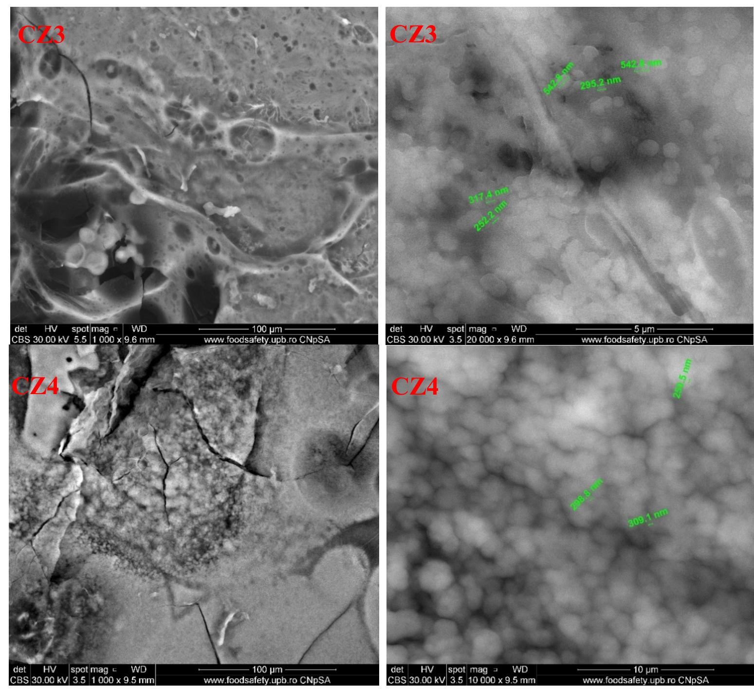 Figure 11. The SEM images for chitosan, CZ1, CZ2, CZ3, and CZ4 films. 