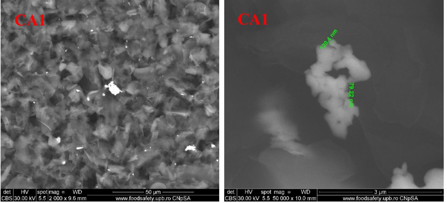 Figure 12. Cont.  For the second lot, obtained from chitosan-AgNPs-CEO, the SEM micrographies are presented in Figure 12. The SEM images indicate the flakes structure of the chitosan films. For CA1, the highly irregular flakes seldom appear connected, forming a rugged surface in which AgNPs agglomeration can be identified. For CA2 film, the flakes appear larger, but well connected between them, resembling a fish scales arrangement. For CA3, the pore dimensions are smaller and the film looks more homogenous  than CA1 or CA2. Finally, for CA4, the film presents a smooth surface, with no visible cracks or  pores, with some AgNPs agglomerations. According to these data, the permeability through these membranes is expected to decrease gradually [62]. 