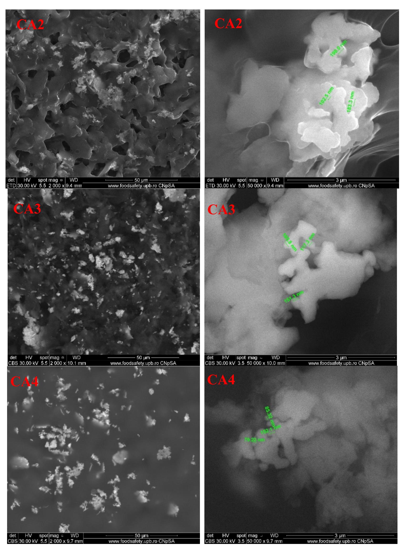 Figure 12. The SEM images for chitosan, CA1, CA2, CA3, and CA4 films. 