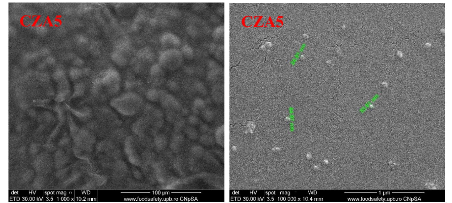 Figure 13. The SEM images for chitosan, CZA1, CZA2, CZA3, CZA4, and CZAS films 