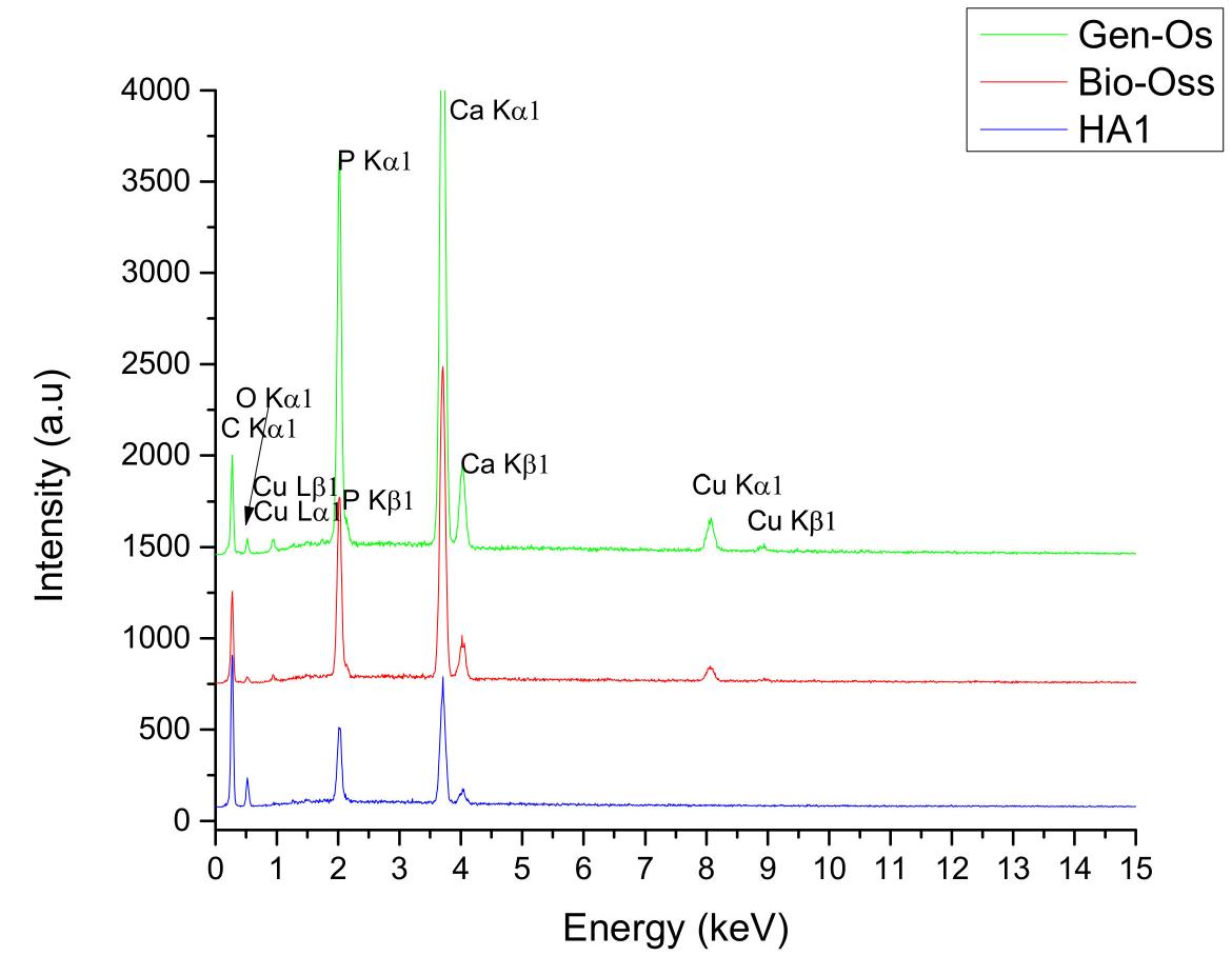 Figure 4. EDS spectra for: (red) Bio-Oss; (green) Gen-Os; (blue) HA1 powders. 