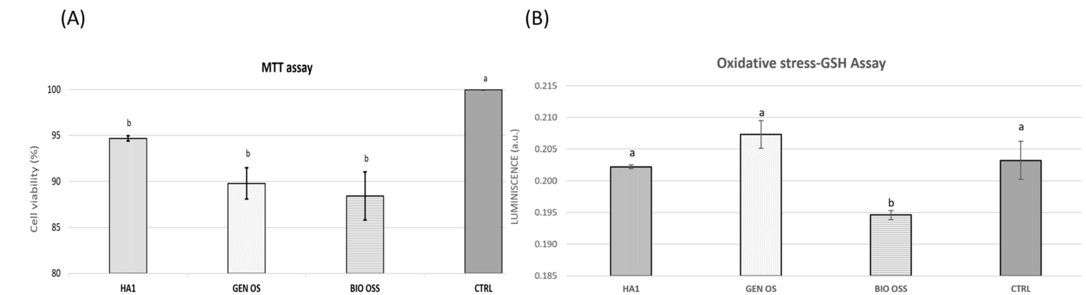 Figure 8. (A) MTT assay results (after 72 h incubation) and (B) GSH assay showing the oxidative stress of AFSCs cultured in the presence of HA1, Gen-Os, Bio-Oss powders, and CTRL sample (only cells); the results are presented as the mean + S.D. of 3 replicates; different letters indicate significant differences between each sample; p < 0.05/n (n = 6)-based ANOVA statistical analysis, followed by a two-tailed t-test with Bonferroni post hoc correction (A).   ollowed by a two-tailed t-test with Bonferroni post-hoc correction results, showed that he differences between Bio-Oss, Gen-Os, and HA1 samples are not statistically significant. (et, there is a statistically significant difference between the cellular viability registered in heir presence and the control sample, which contains only AFSCs. Hence, even though the inalyzed powders are inhibited in a small proportion, the metabolic activity of the AFSCs, 1A1 sample proves similar enough with the two commercial xenografts already used as 1 bone substitute in dentistry. Consequently, the already mentioned morphological and tructural differences between Bio-Oss, Gen-Os, and HA1 do not greatly influence their  yiocompatibility. 