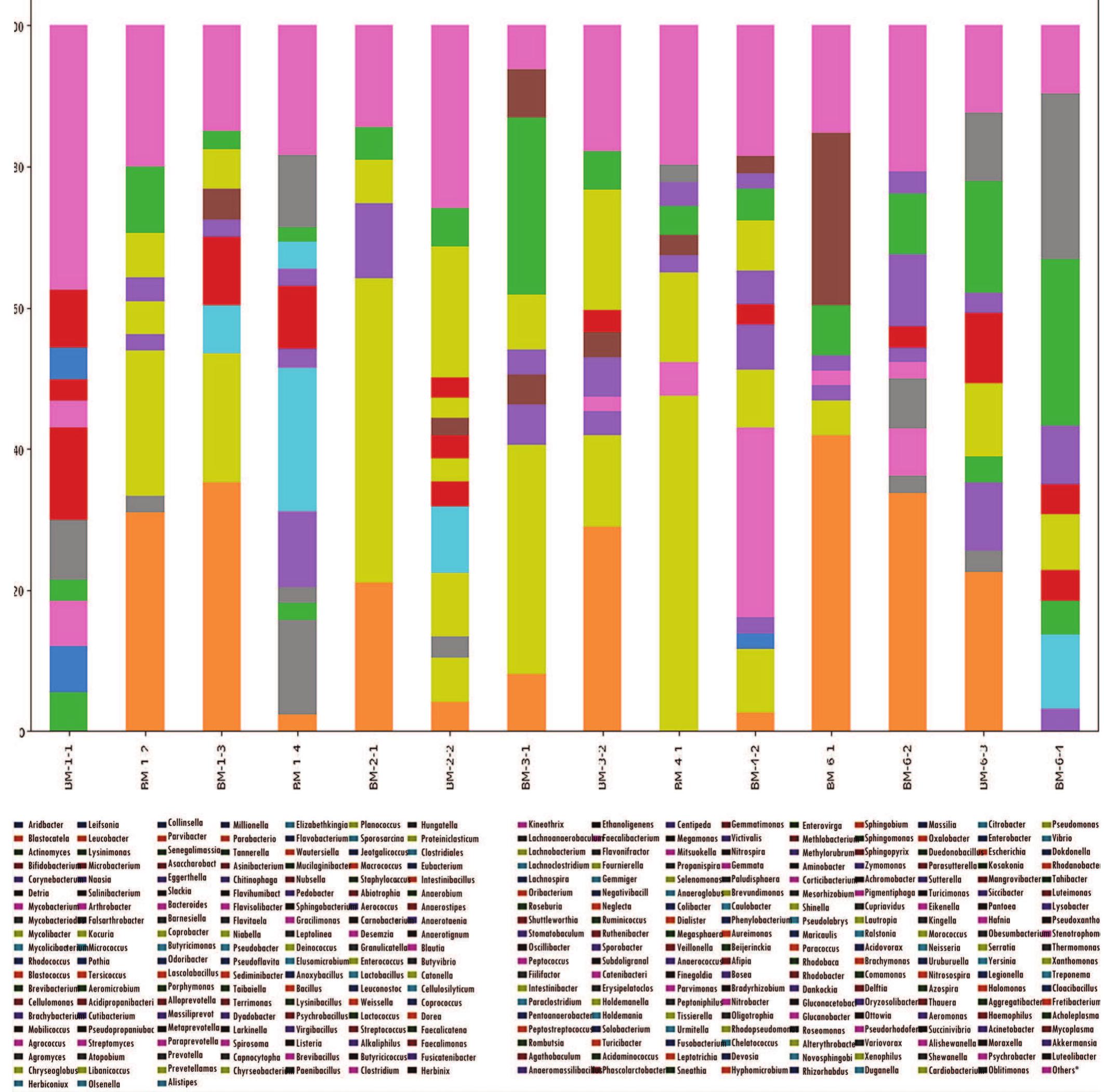Figure 7 - from Bacteria Found in Brasswind Instruments: