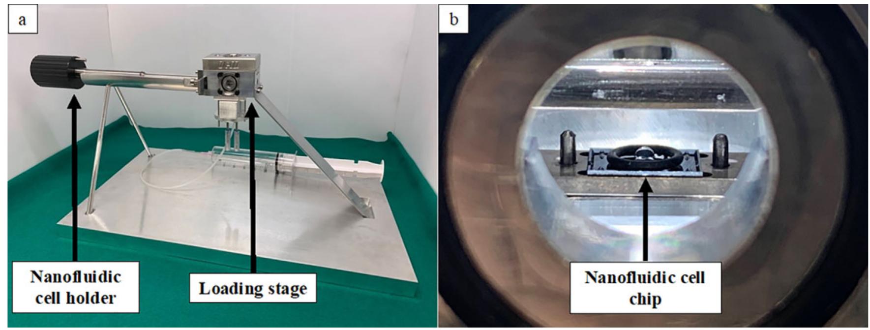 (PDF) A High-Throughput Method for Bulgeless Liquid Cell Imaging in the ...