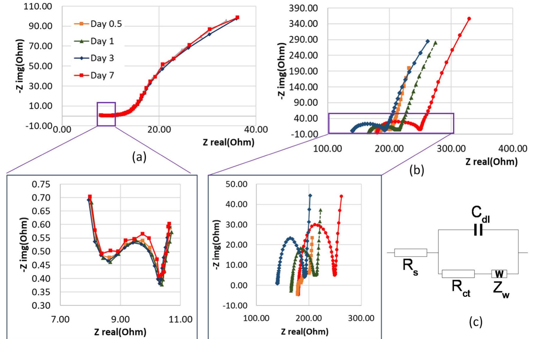 Fig. 4. The impedance of the anode in (a) 100MFC using microbial suspension as anolyte complex plan plot; 1OOMFC using microbial suspension as anolyte complex plan plot (inset) (b) Complex plan plot showing low frequency region of 100MFC; Complex plan plot showing low frequency region of 500MFC (inset); (c) Randles circuit showing solution resistance (Rs), charge transfer resistance (RCT), double layer capacitance (Cdl) and Warburg impedance (Zw).