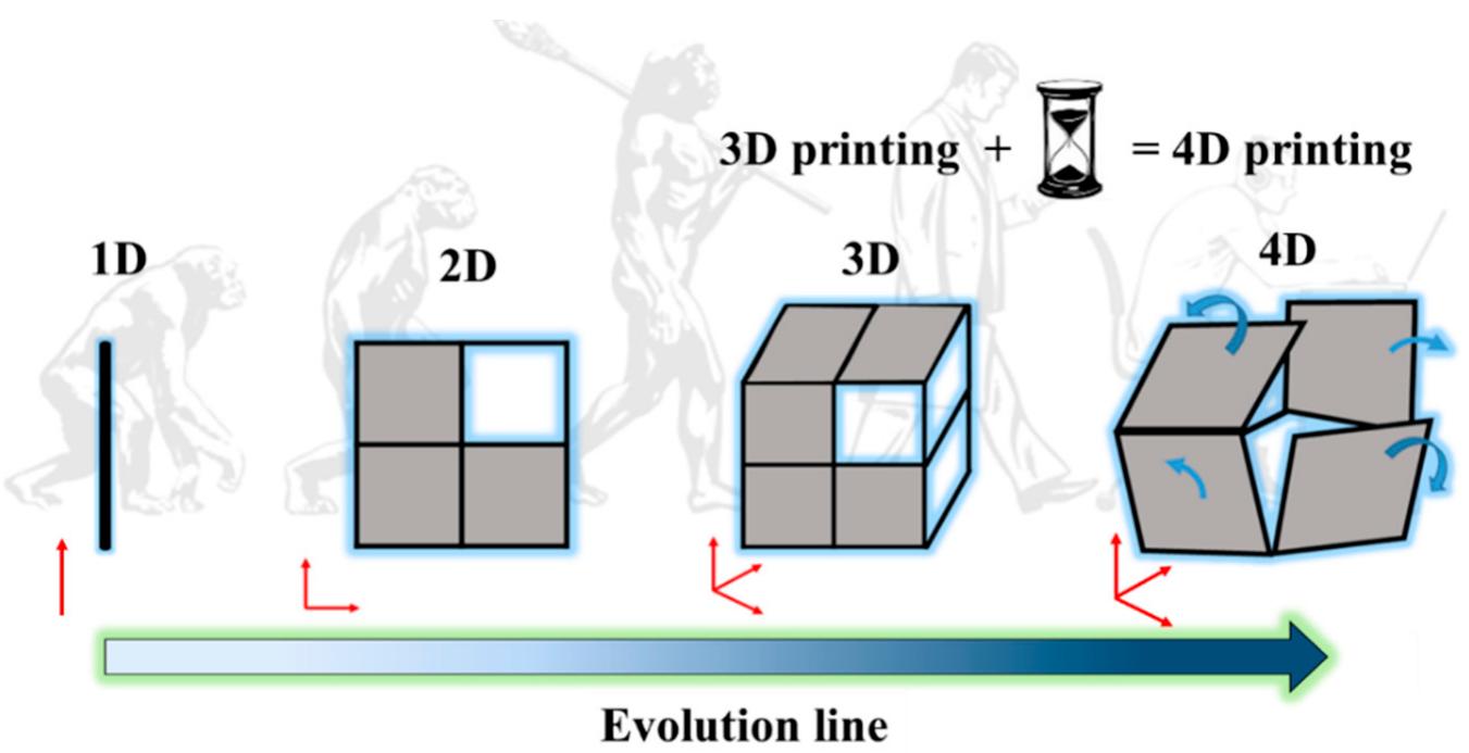 (PDF) On the Evolution of Additive Manufacturing (3D/4D Printing ...
