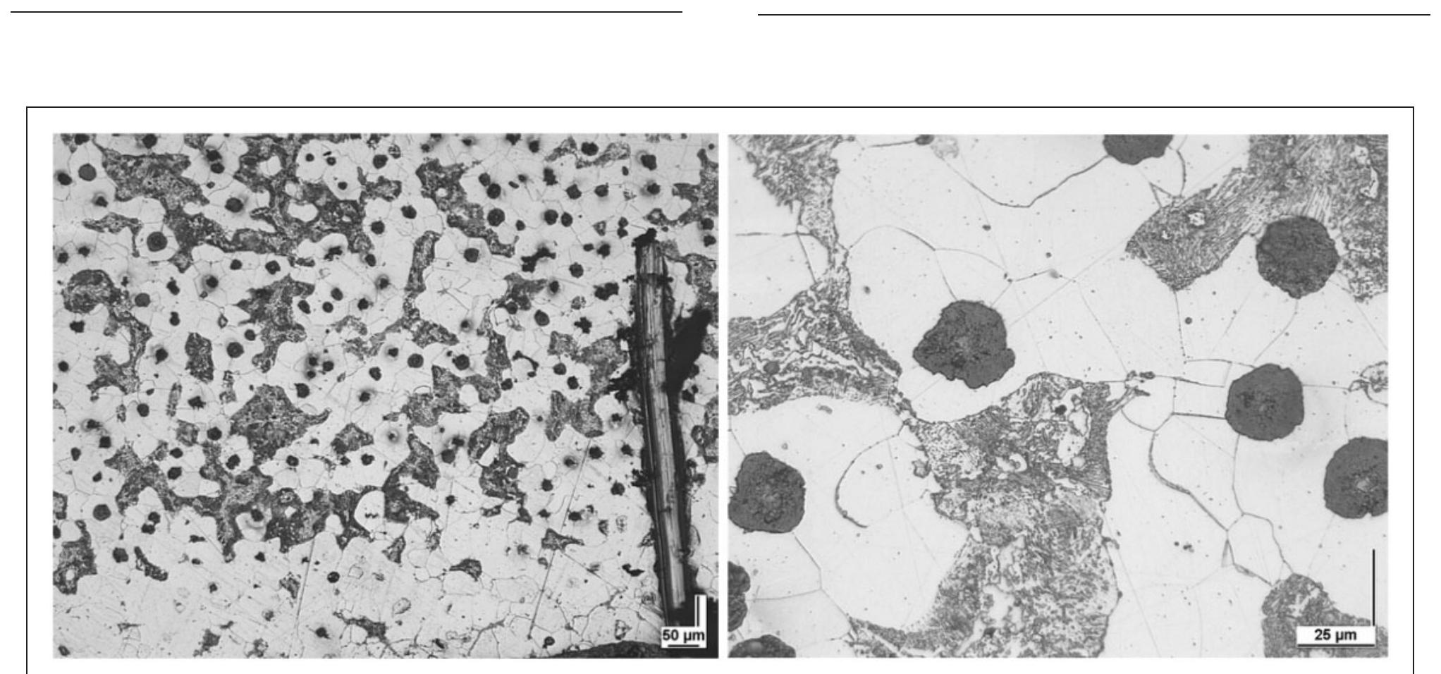 Material Microstructure Samples Specimen material microstructure: 100 x (left) and 500 x