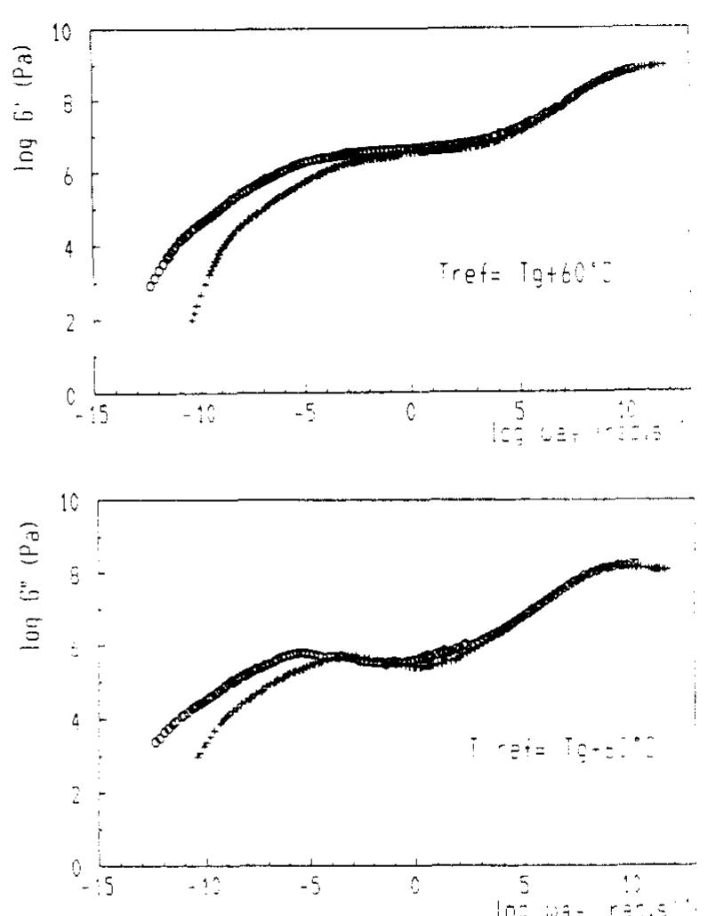 Master curves of the storage and loss shear moduli reduced
