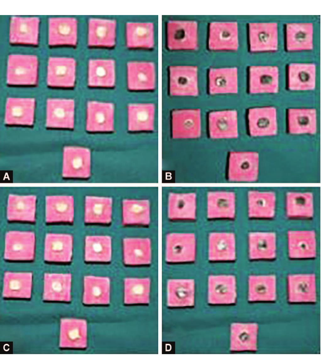 Gic Sample (PDF) A Comparative Evaluation of Shear Bond Strength of Type IX GIC to ...