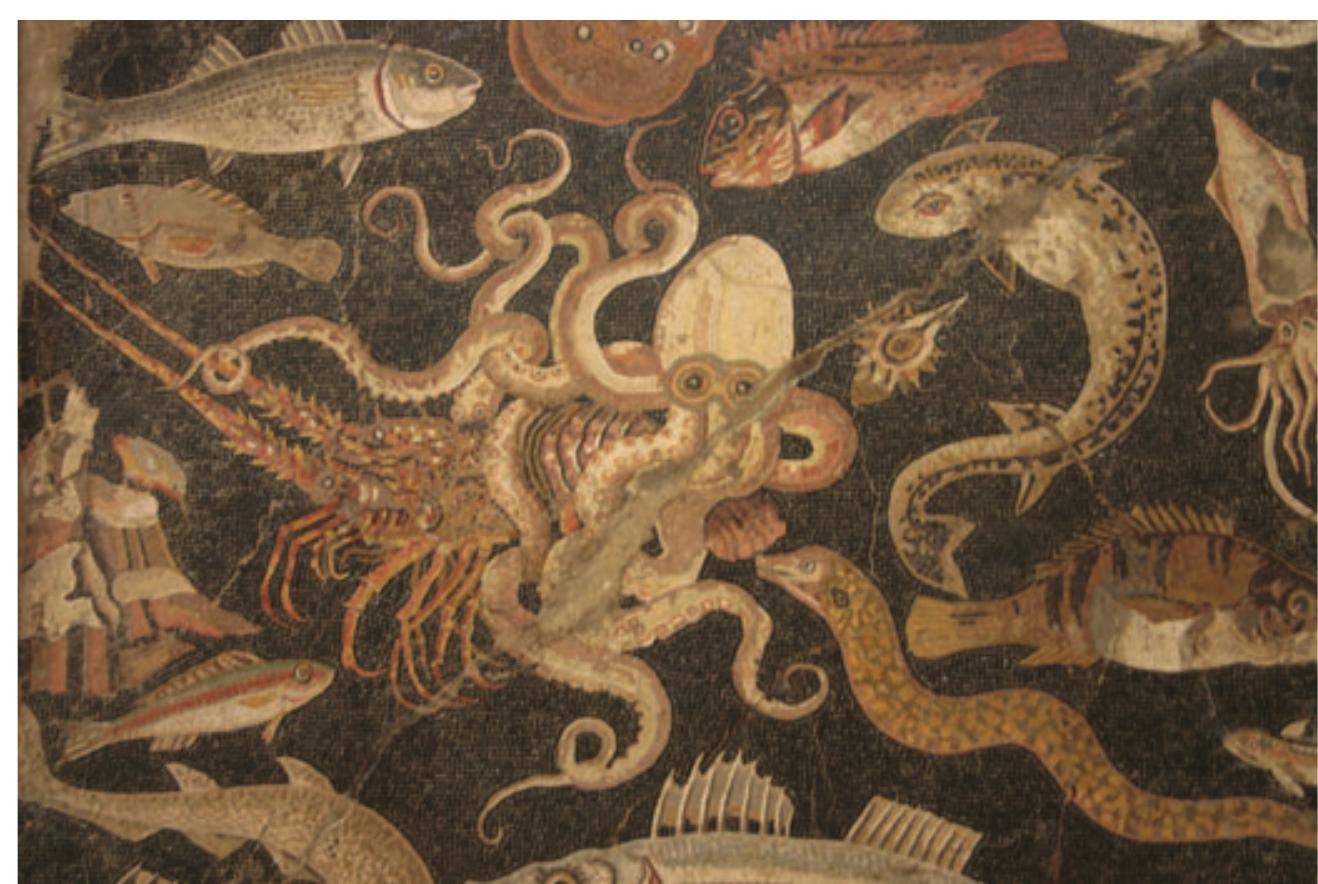 1.3.2 North Sea and Wadden Sea  The North Sea is another heavily fished and depleted marine system. The Mesolithic period about 6,000 years ago experienced a warm climate, which seems to have been conducive to extensive fisheries all over the Northern hemi- sphere. Many basic technologies for the fisheries were already developed by this time such as trap gear and fishing by hook-and-line from a boat. With domestication of animals and development of agriculture in the Neolithic period about 5,000 B.P, hunting and fishing became less important and settlements were no longer related to the seashore, and fishing seems to have been of minor impor- tance through the Bronze and Iron Ages of Northern Europe. Rivers will have brought nutrition to the North Sea from the rich agricultural lands of Northern Europe already by the Bronze Age when major deforestation took  place and increased the productivity of the sea (Enghoff 2000; Beusekom 2005).   Our knowledge of ancient fisheries is still deficient due to the lack of sieving of archaeological finds for small and easily overlooked fish bones. However, thanks to a thor- ough review of archaeological reports of dozens of medi- eval settlements we now know that the period ca. 950-1050 saw a major rise in fish consumption around the North Sea (Fig. 1.2) (Barrett et al. 2004, 2008). Early medieval sites are dominated by freshwater and migratory species such as eel and salmon, whereas later settlements reveal a wide- spread consumption of marine species such as herring (Clupea harengus), cod (Gadus morhua), hake (Merluccius), saithe (Pollachius virens), and ling (Molva molva). The “fish event” of the eleventh century reflected major economic and technological changes in coastal settlements and tech- nologies, and formed the basis of dietary preferences that 