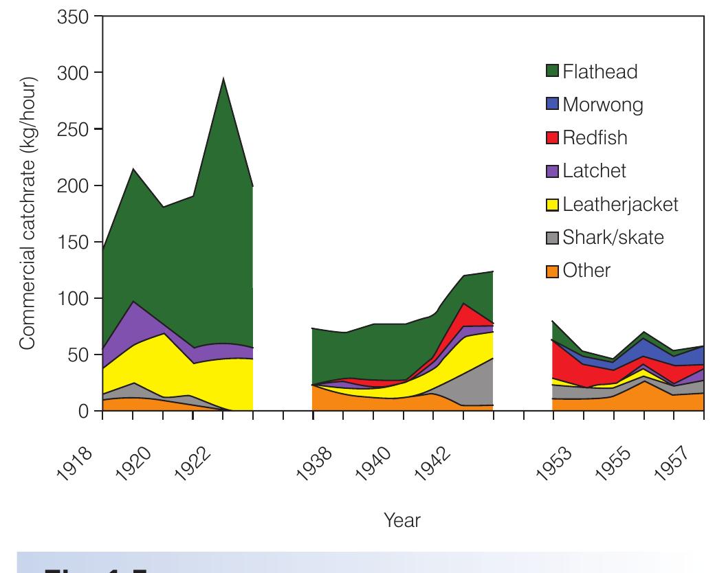 tee |  Ecosystem effects of early trawling. Commercial catch rates by species on the southeast Australian continental shelf. Contribution per species to the total commercial catch per unit effort by year. Source: Klaer (2001), Fig. 10. Reproduced with permission. 