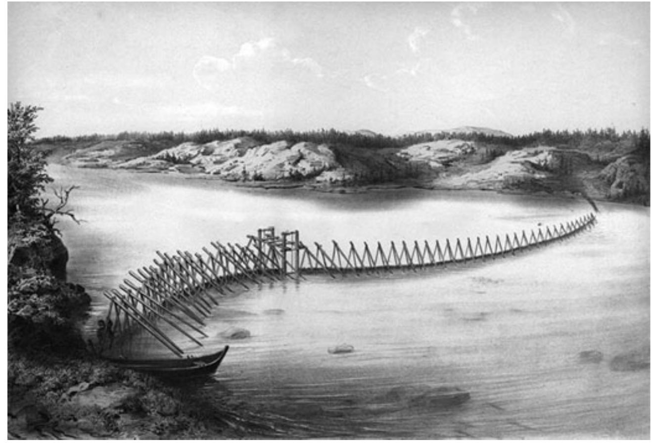 industrial activity. Relative to the fisheries it is extremely well documented and well researched (Fig. 1.7). Yet we still do not know how many whales there used to be in the ocean and where. Whereas historical fisheries research has really only developed in the past decade, the ecological history of whaling has been pursued for management pur- poses for many years. Since its origin in 1946 the Interna- tional Whaling Commission has had a keen interest in estimating historical population sizes based on catch records in order to identify a conservation target for the rebuilding of whale populations. The approach taken by the HMAP team is to estimate historical abundance using population models based on the evidence of historical logbooks and catch records, and using present-day abundance estimates. 