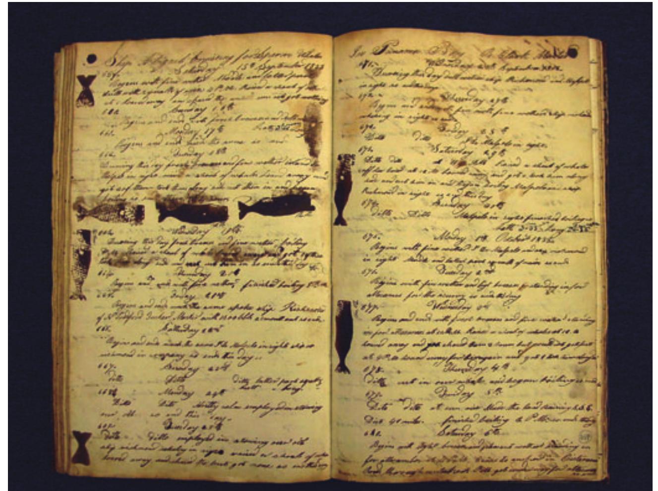 identified based on nineteenth century whaling logbooks (Reeves et al. 2004), and the logbook data were used to help direct the Census Patterns and Processes of the Eco- systems of the Northern Mid-Atlantic (MAR-ECO) project (see Chapter 6). In the mid-nineteenth century some hump- back whales migrating from breeding to feeding areas remained at mid-summer in oceanic habitats near the mid- Atlantic Ridge. Today humpbacks have only been known in summer months on coastal feeding grounds around the North Atlantic. Similarly, textbook assumptions on the dis- tribution and abundance of North Pacific right whales (Eubalaena japonica) have been corrected (Josephson et al. 2008). The causes of failure of the North Pacific right whale to recover both numerically and spatially after the severe depletion of the 1840s continue to be a mystery. 