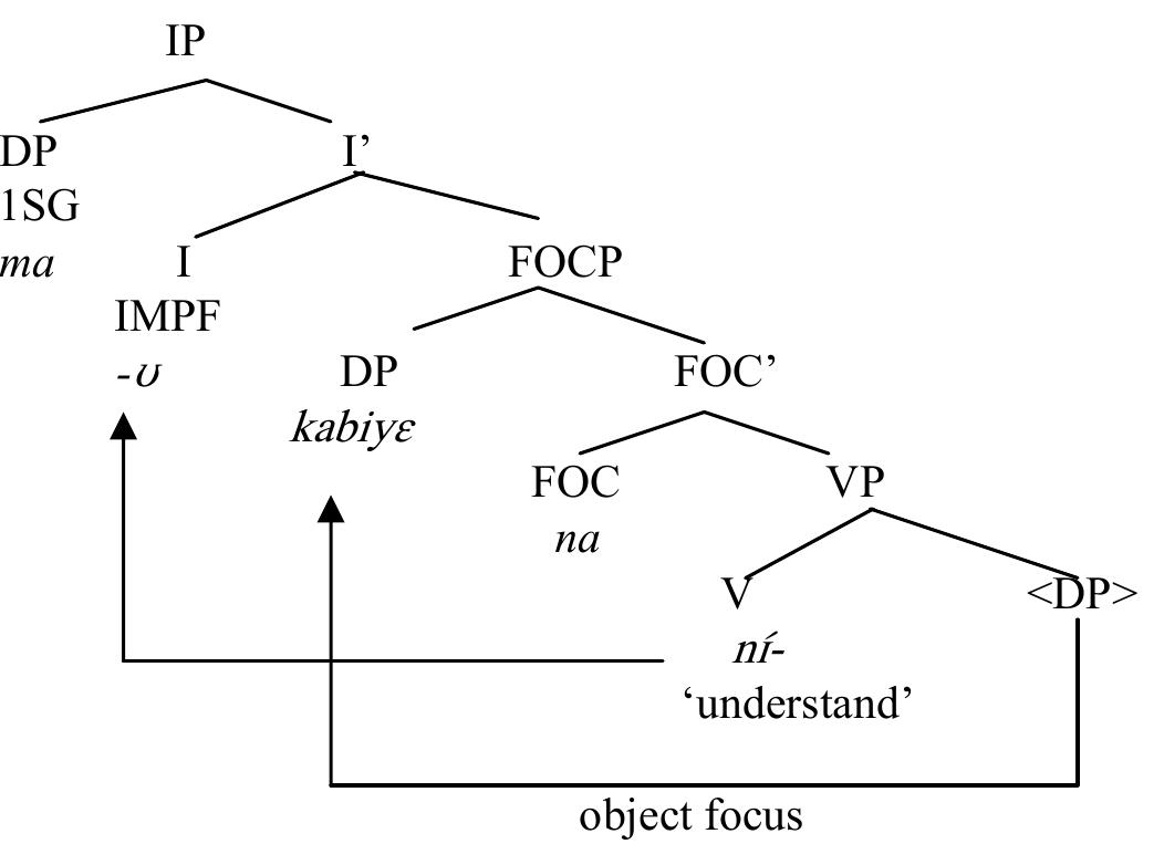 (PDF) The syntax of verb focus in Kabiye