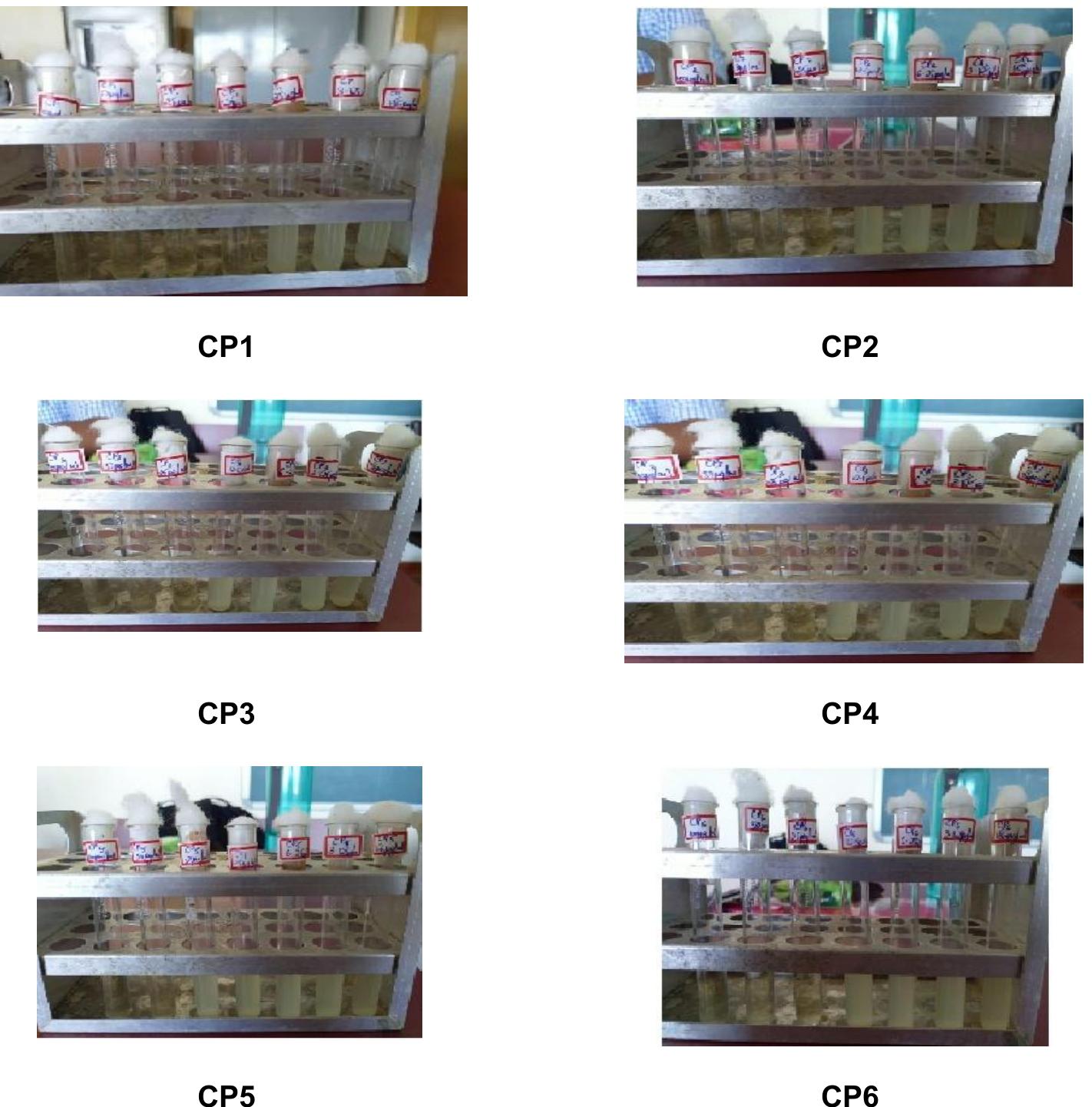 (PDF) Synthesis and Antimicrobial Activity of Some New Coumarin ...