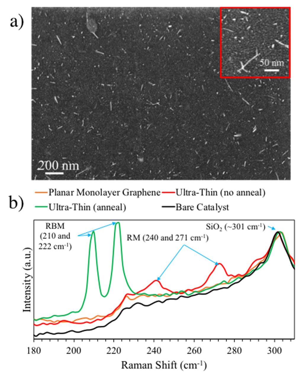 (a) sem micrograph of 1nm catalyst grown for 15 min after a