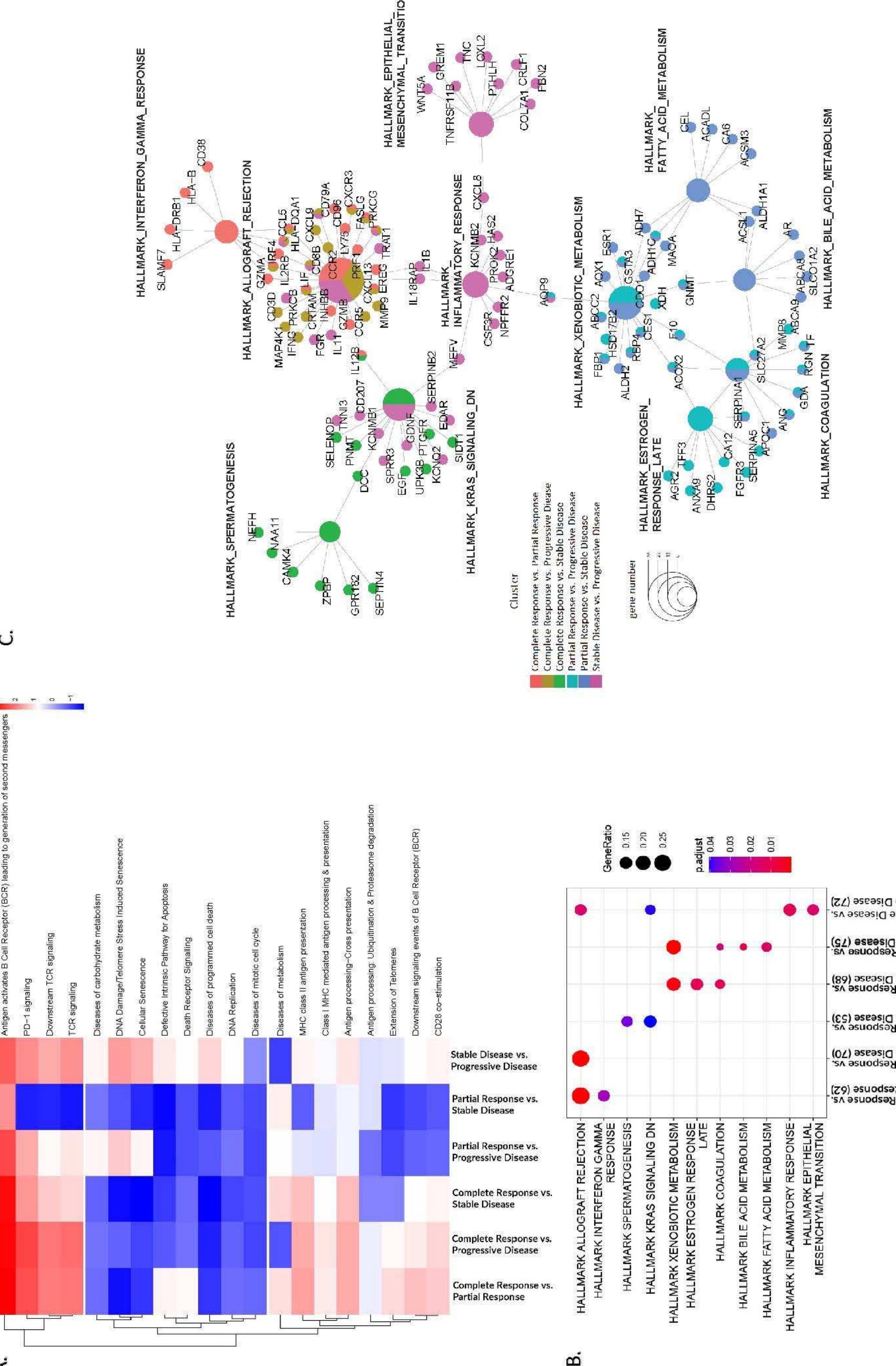 (PDF) Phase II Clinical Trial of Pembrolizumab and Chemotherapy Reveals ...