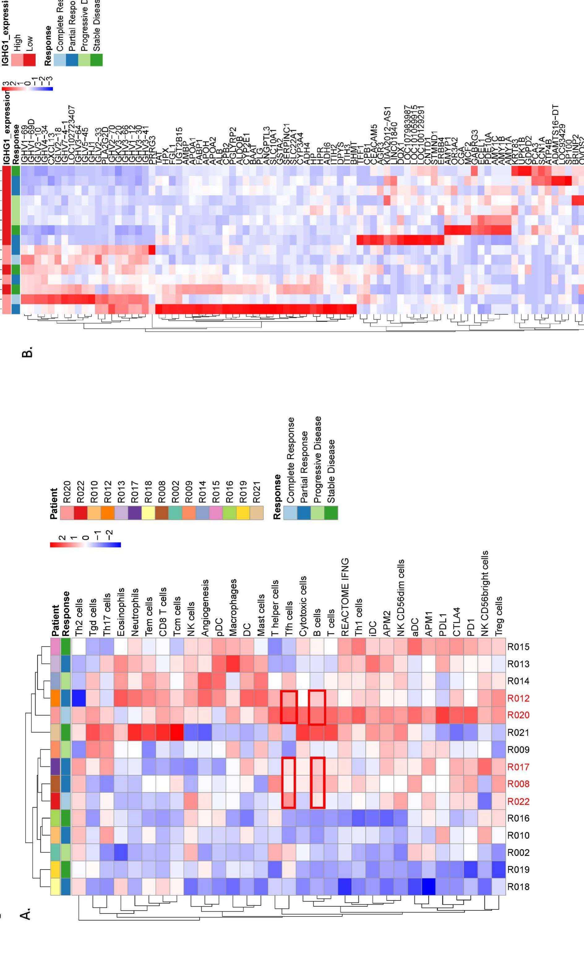 (PDF) Phase II Clinical Trial of Pembrolizumab and Chemotherapy Reveals ...