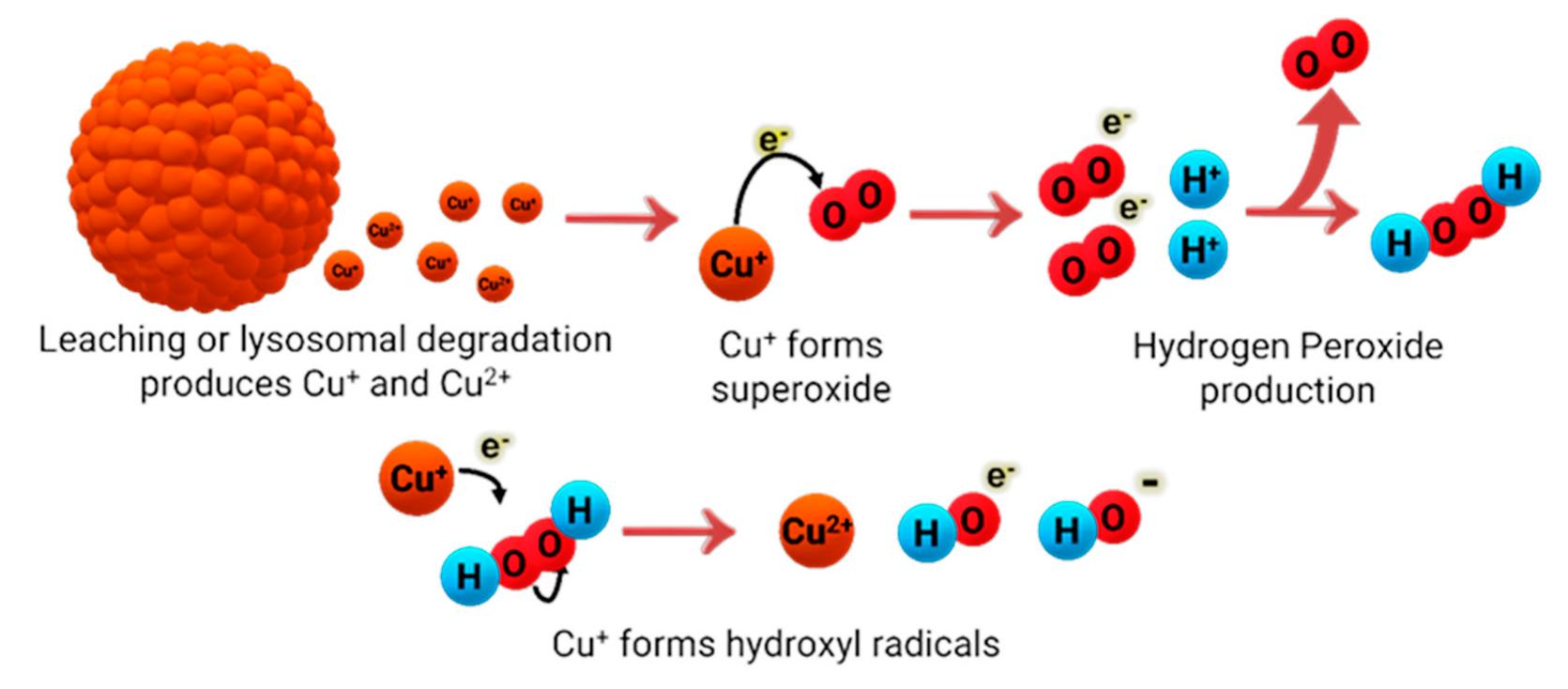 (PDF) Copper Based Antibacterial Compounds: Potential Targeting ...