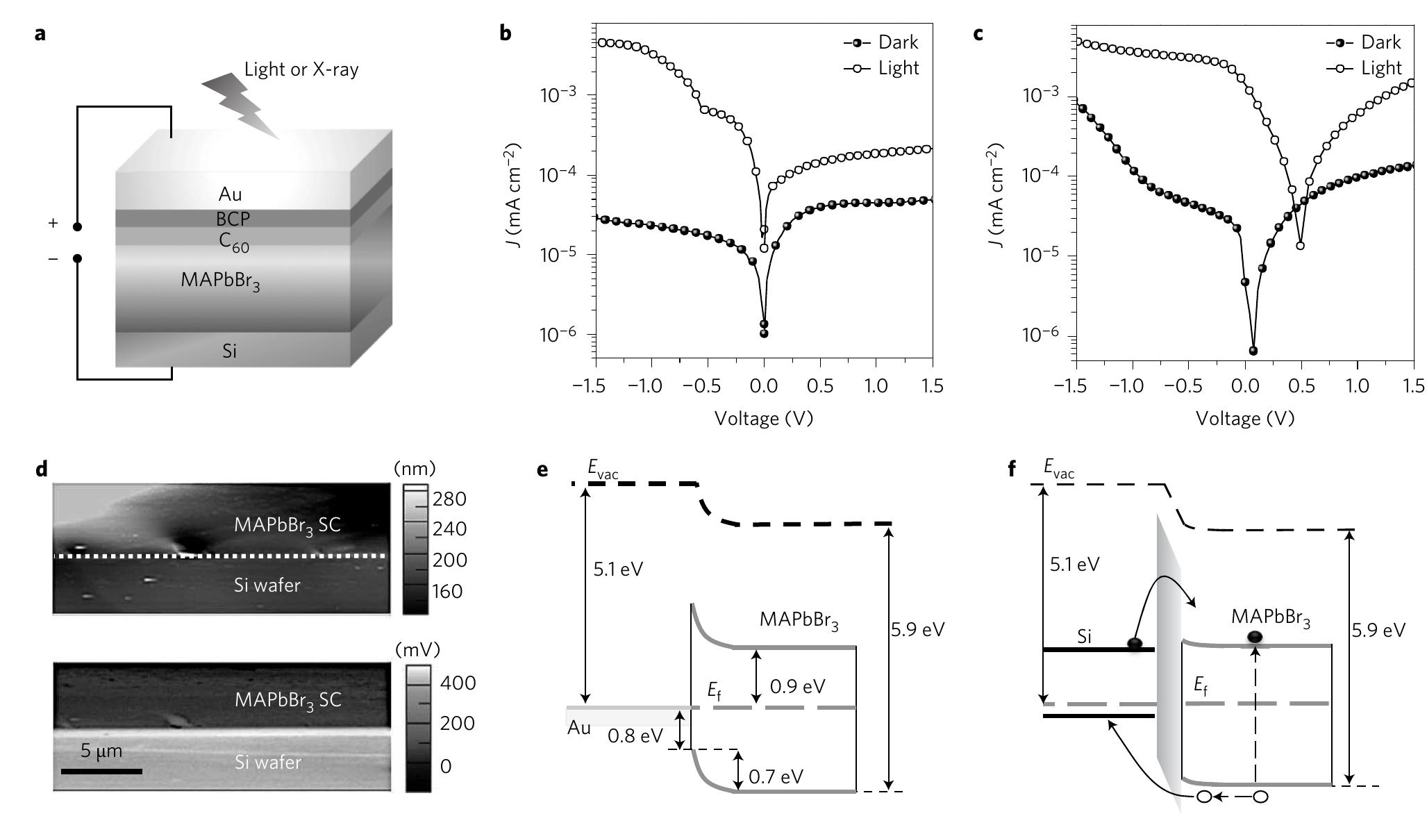 (PDF) Monolithic integration of hybrid perovskite single crystals with ...