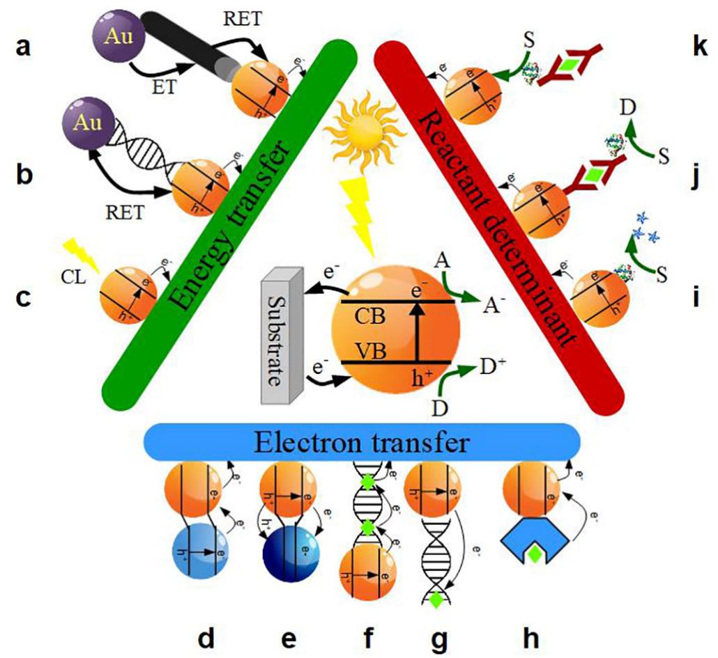 Fig. 1. A schematic illustration of various strategies for creating PEC sensors: surface plasmon resonance (a), resonant energy transfer (b), chemiluminescence- based energy transfer (c), charge separation (d), electron trapping (e), competitive electron transfer (f, g), conditional, analyte-induced photosensitization (h), intro- duction/release of photoactive species (i), consumption/generation of electron donor/acceptor (j) and effect of steric hindrance (k). Adapted from Ref. [46]. 
