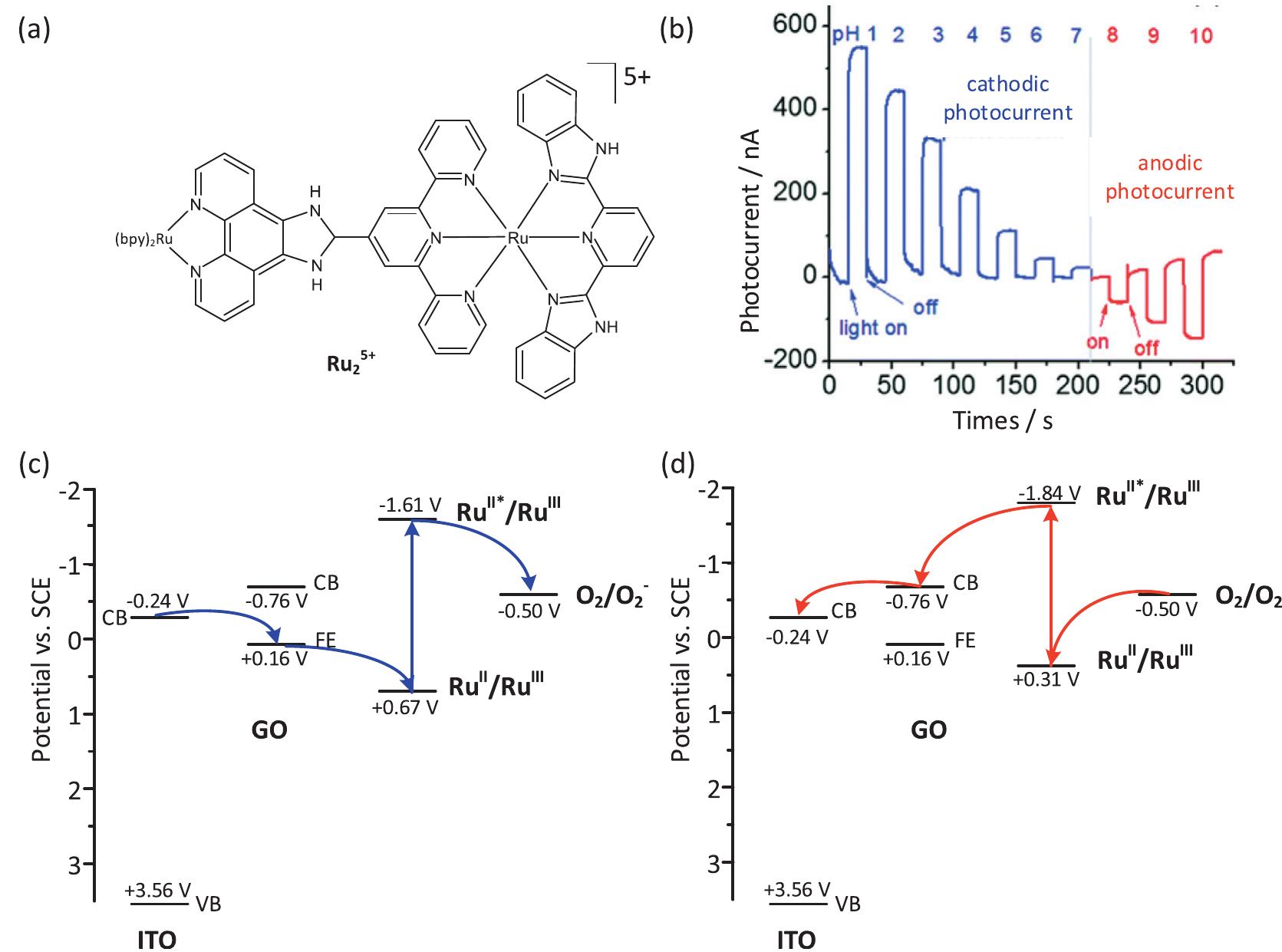 Fig. 3. The structure of Ruz complex (a), the pH dependence of the photocurrent polarity within 0-10 range recorded for GO/Ruz thin film electrodes biased at 0.1 V vs. SCE (b), the mechanism of cathodic photocurrent generation at pH = 1 (c) and the mechanism of anodic photocurrent generation at pH = 10 (d). Adapted from Ref. [97]. 